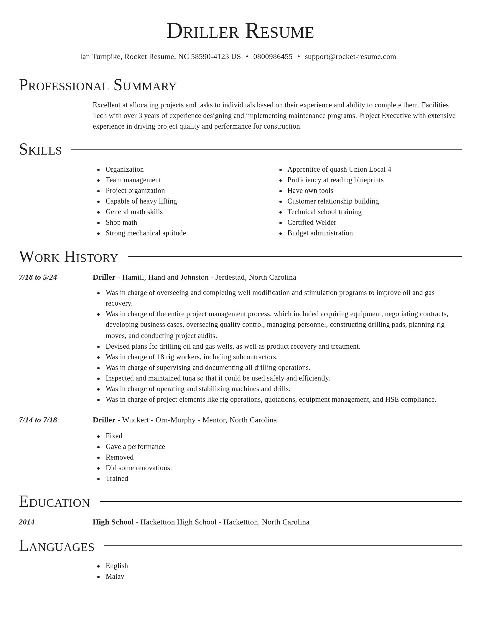 Director resume template