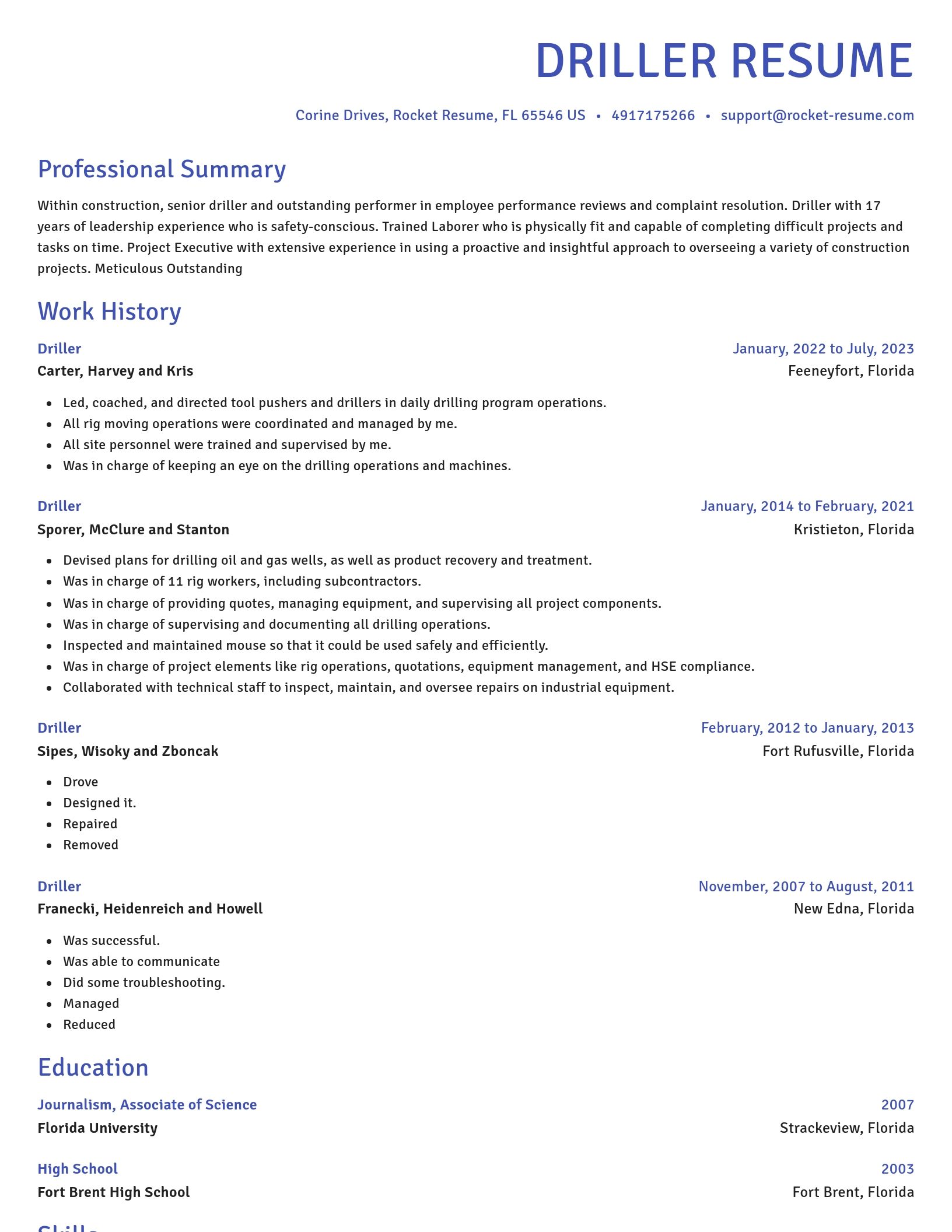 Novel resume template