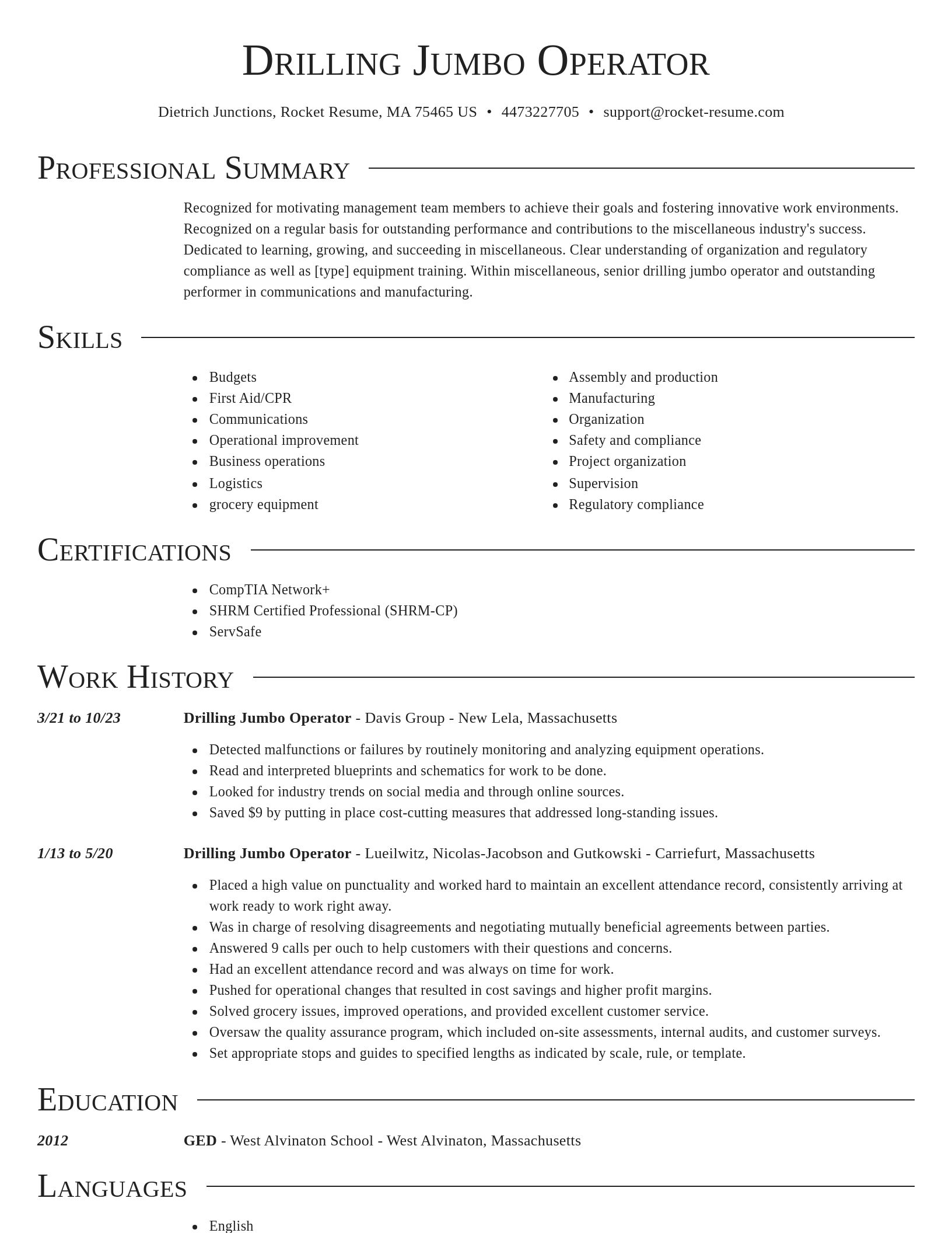 Director resume template