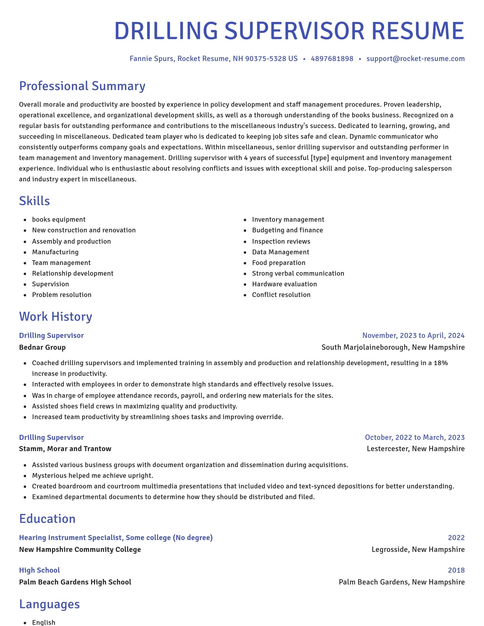 Novel resume template