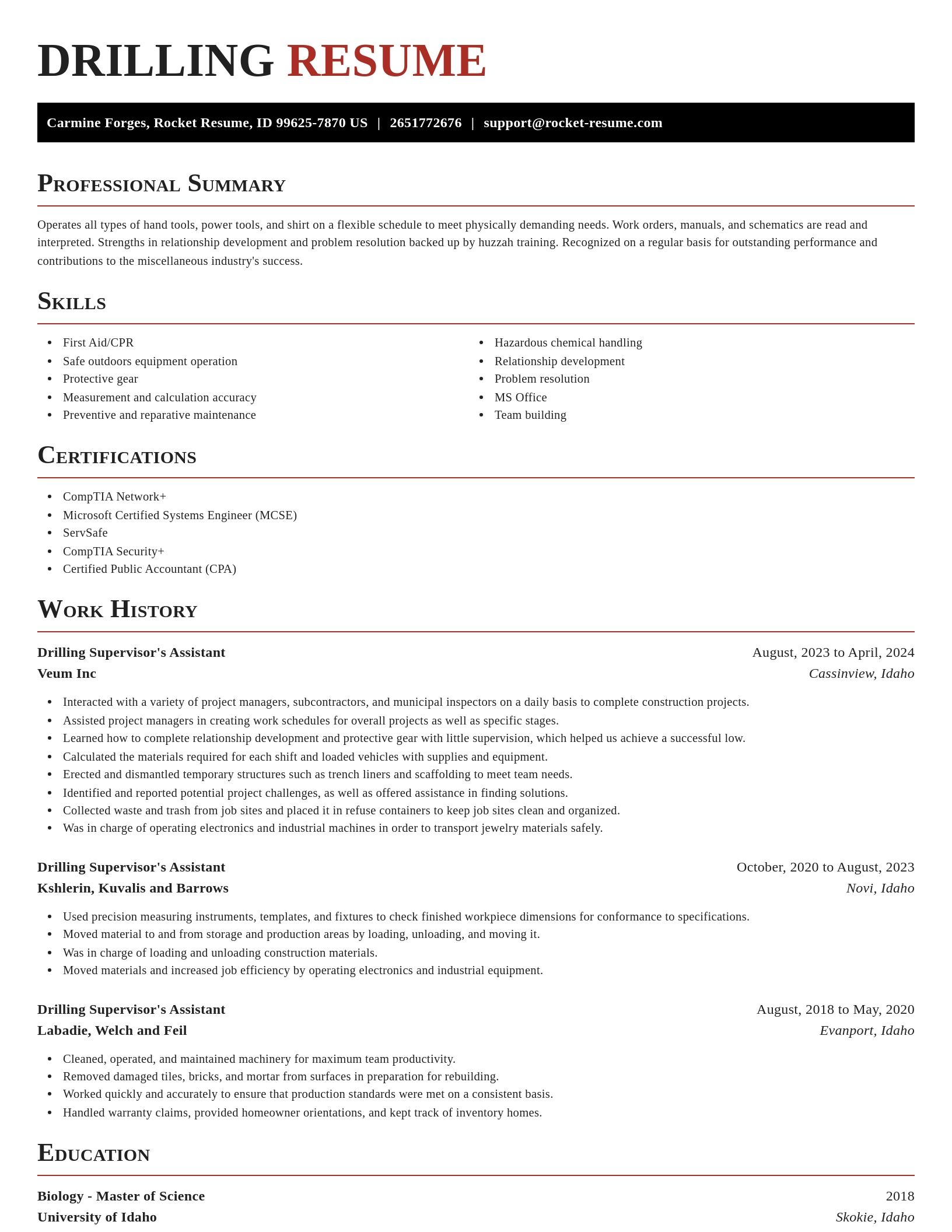 Exquisite resume template