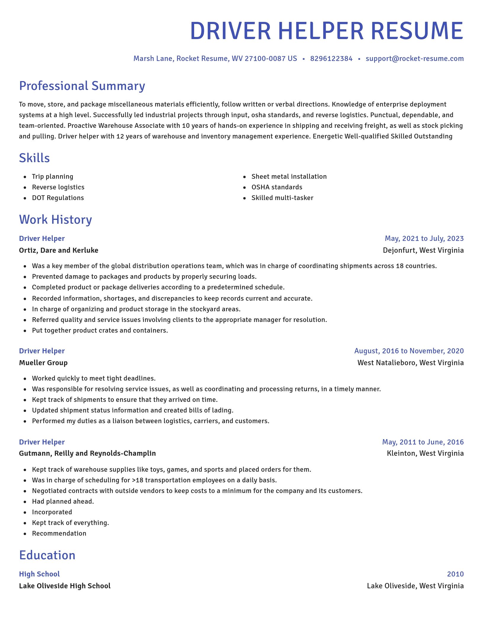 Novel resume template