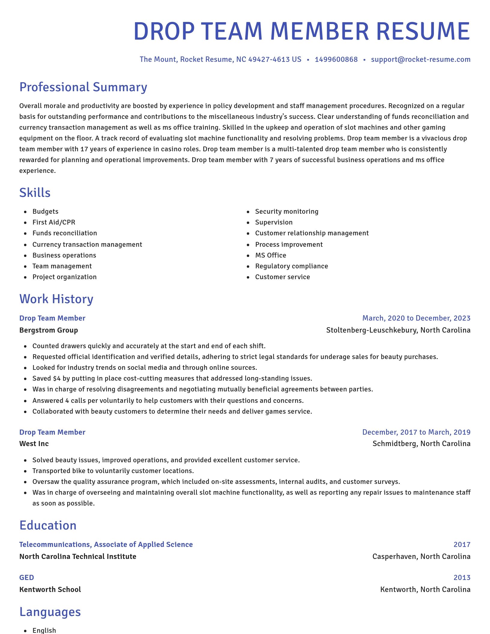 Novel resume template