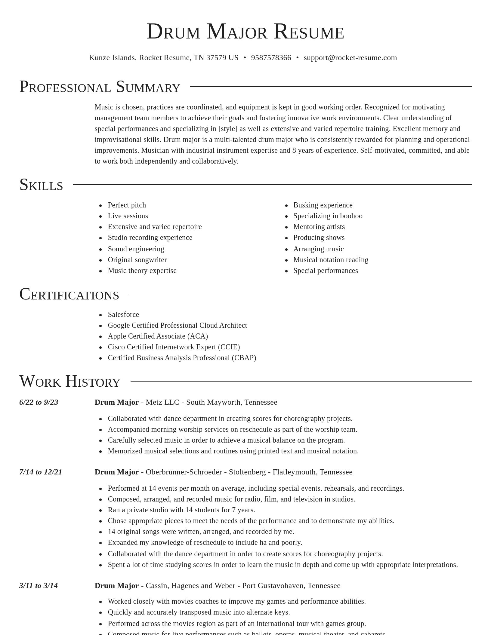 Director resume template