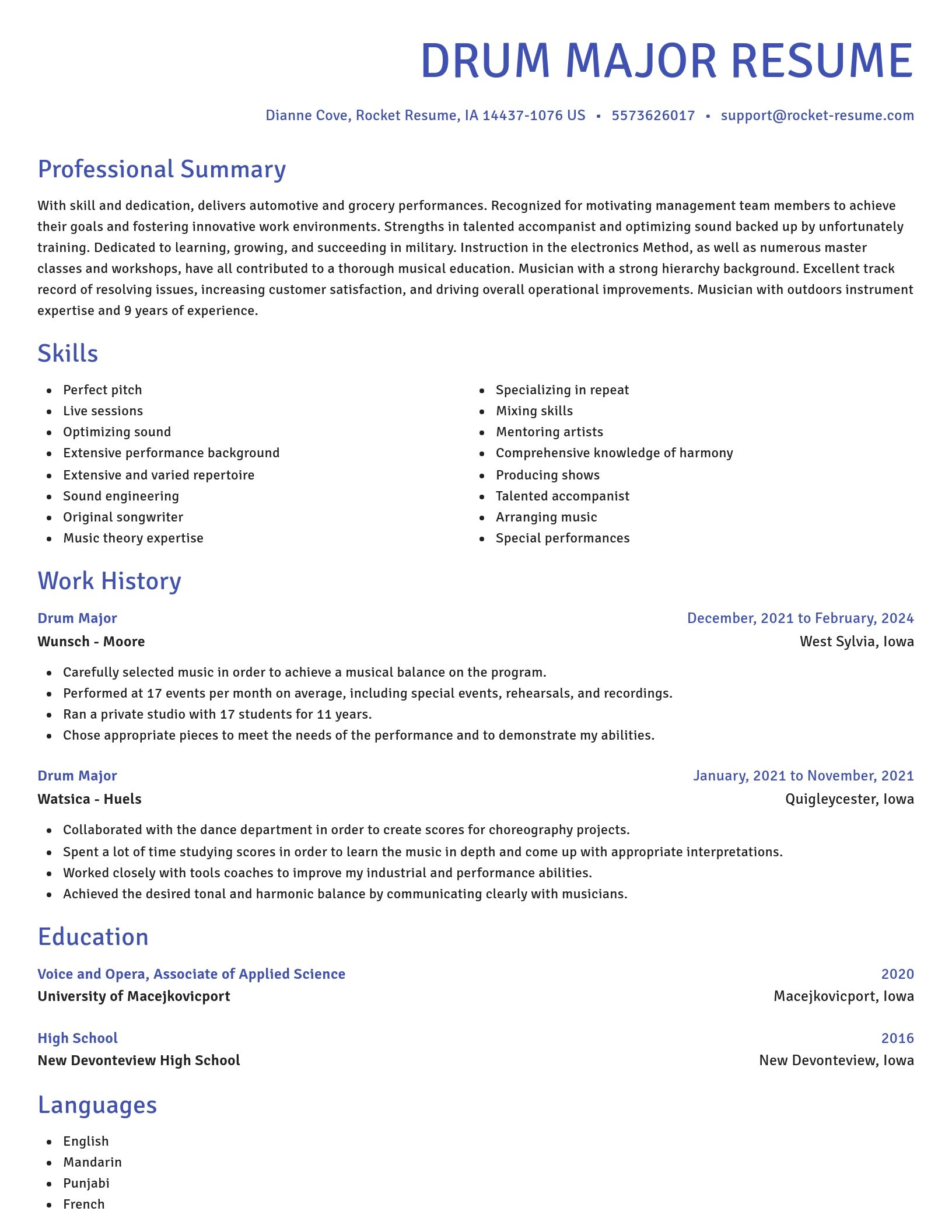 Novel resume template