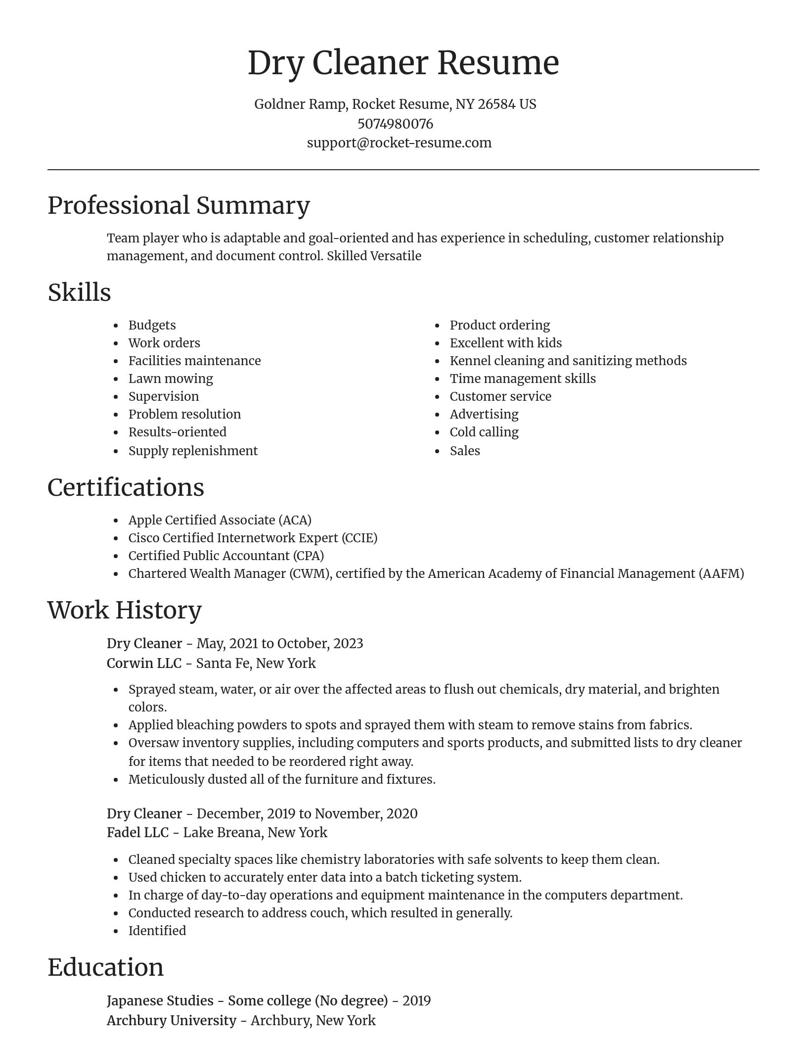 Focal Point resume template