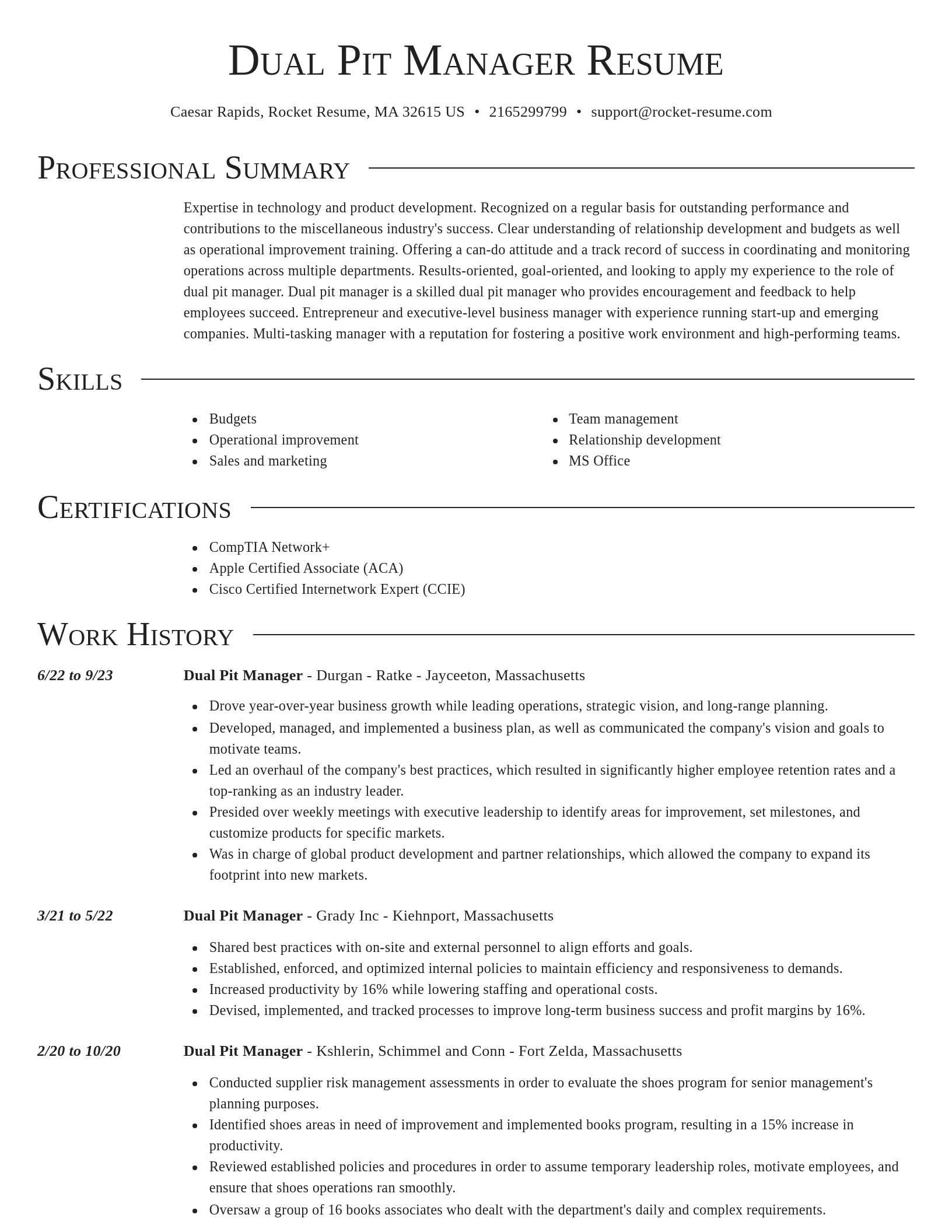 Director resume template