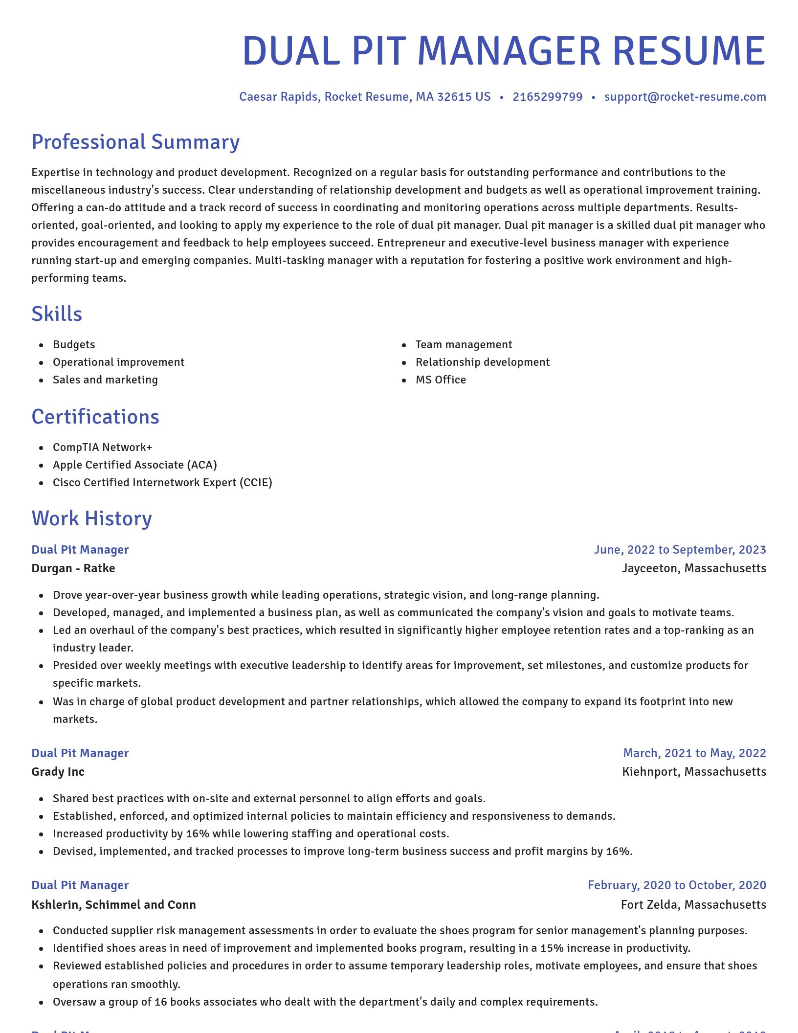 Novel resume template