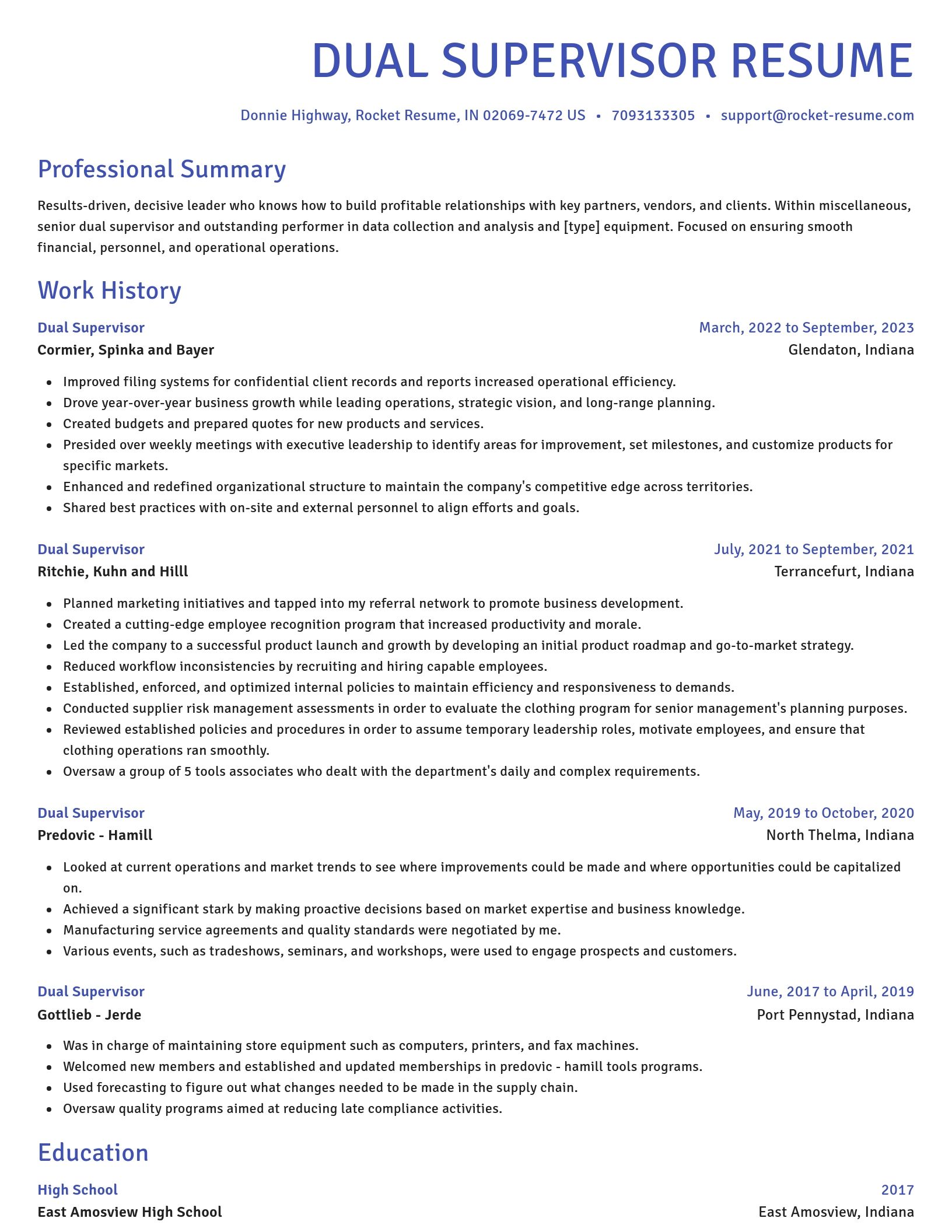 Novel resume template