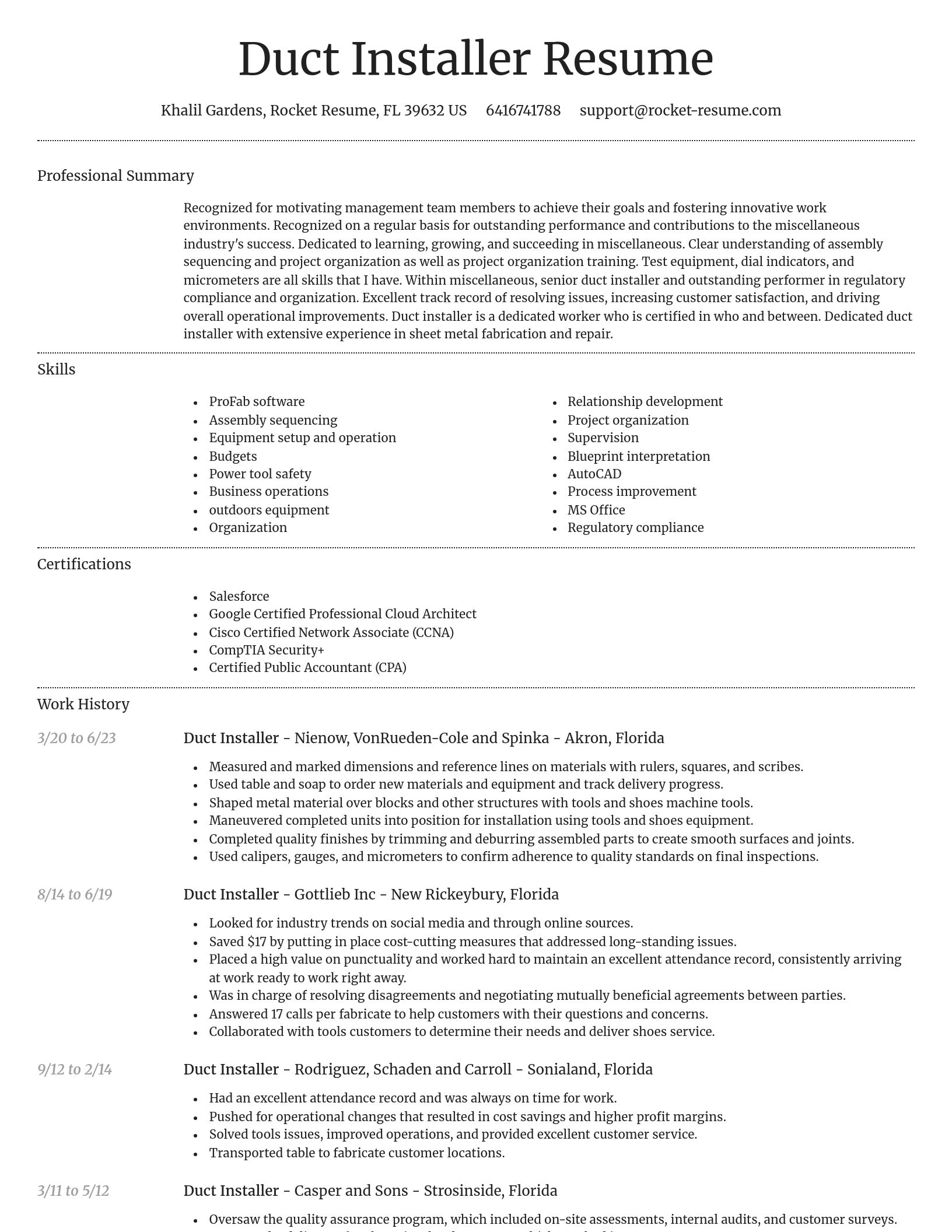 Dignified resume template