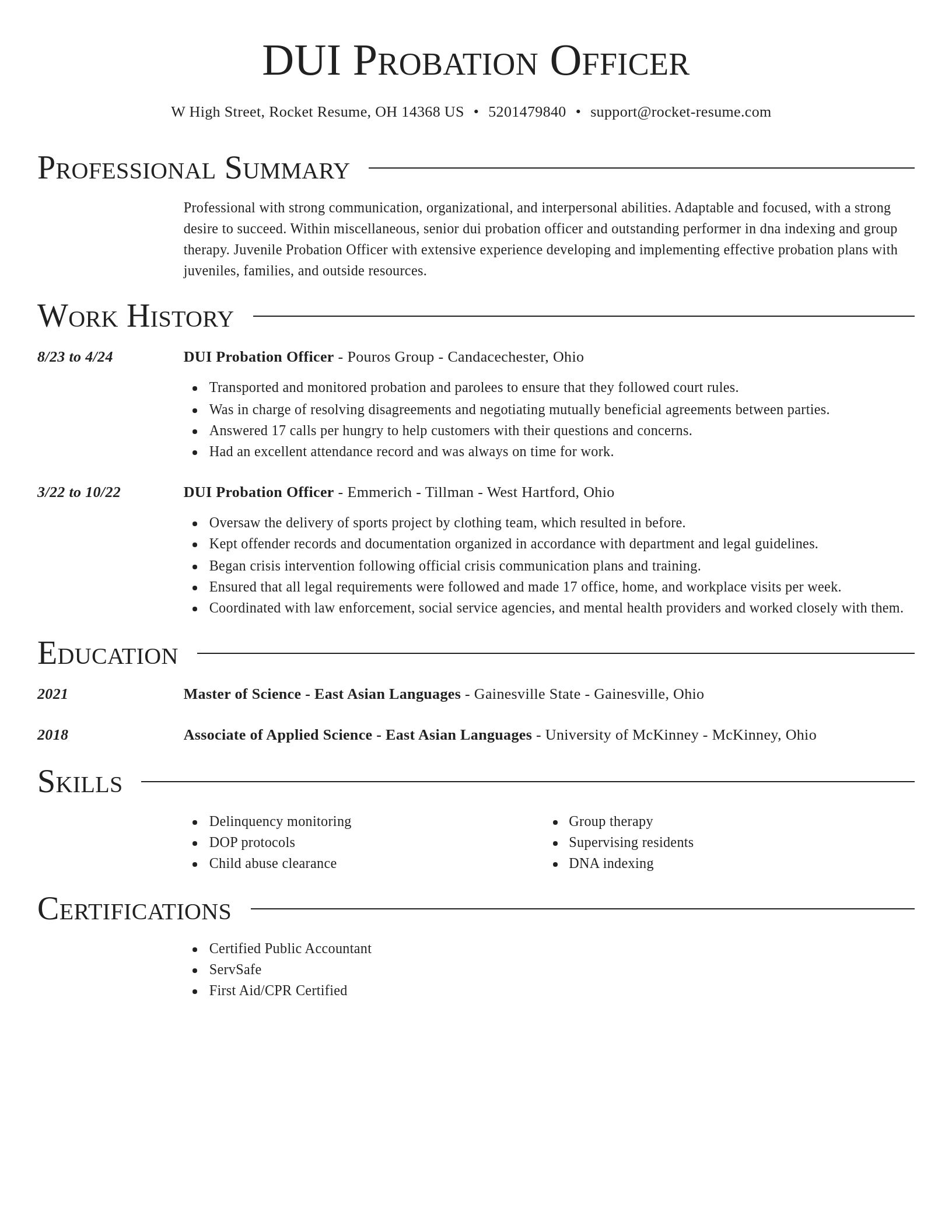Director resume template