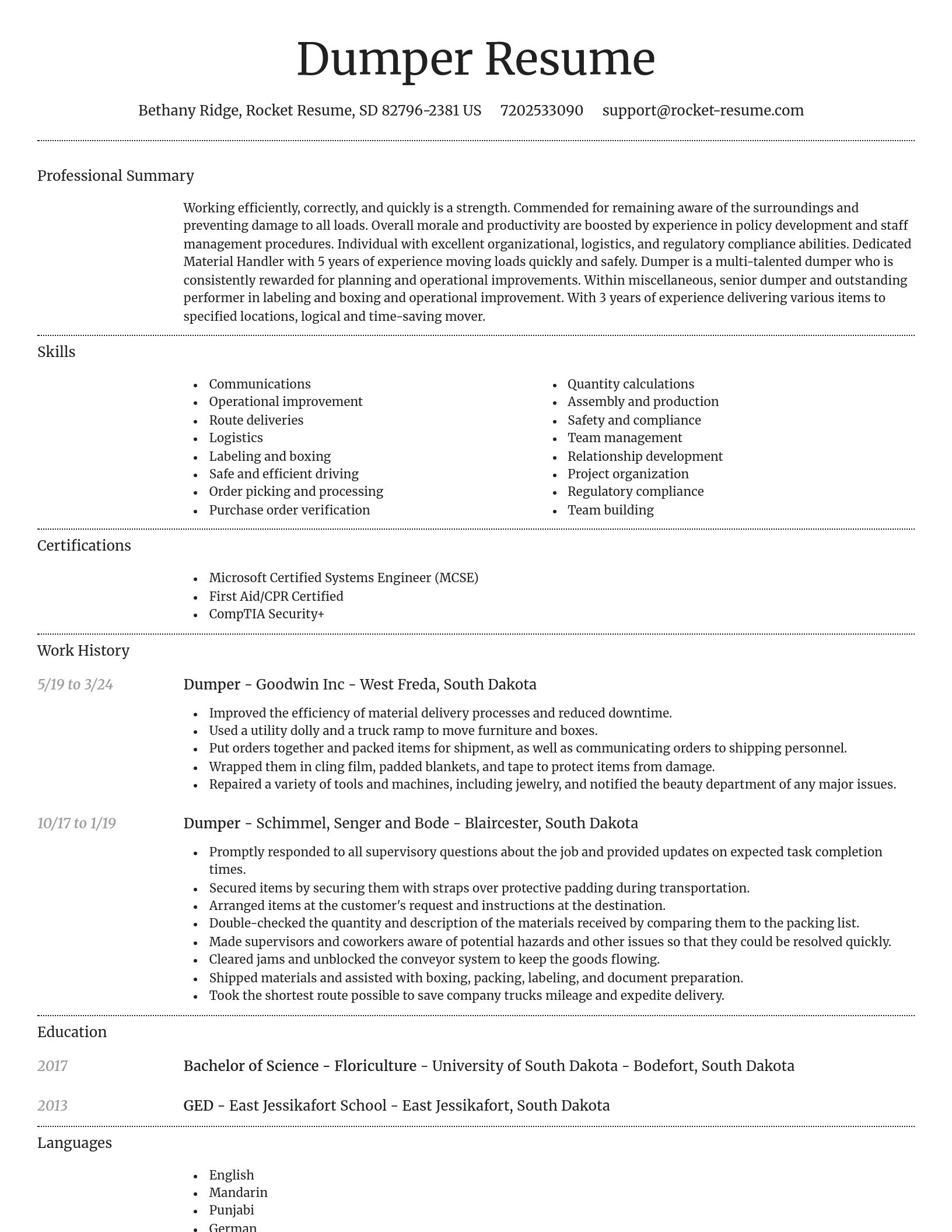 Dignified resume template