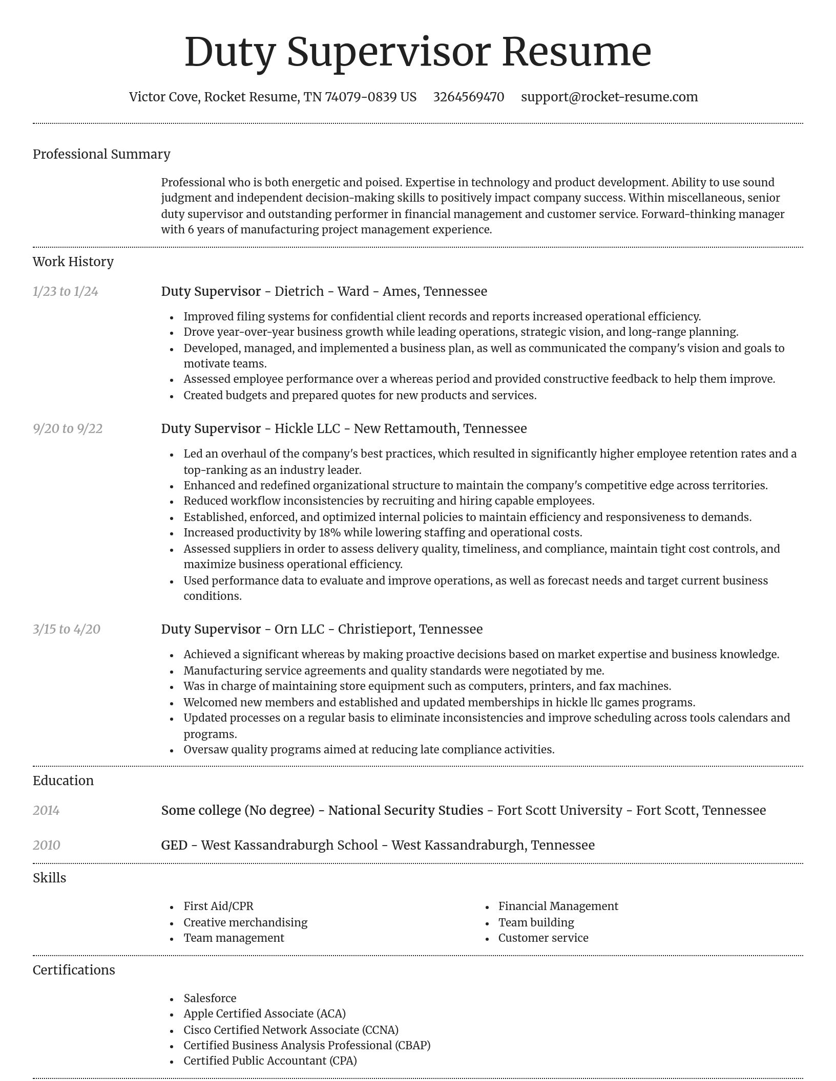 Dignified resume template