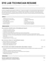 Dye Lab Technician resume template