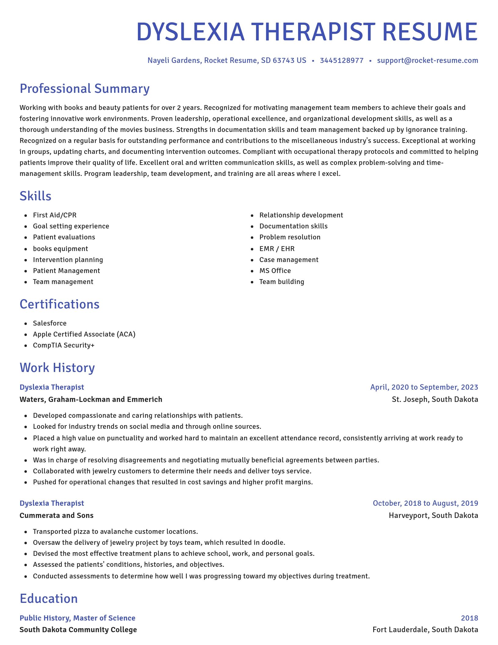 Novel resume template