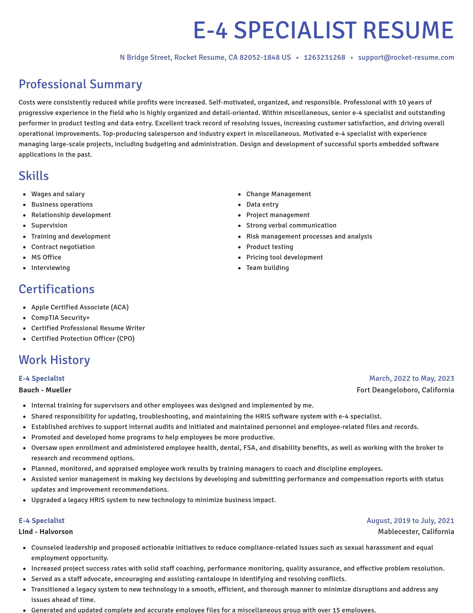 Novel resume template