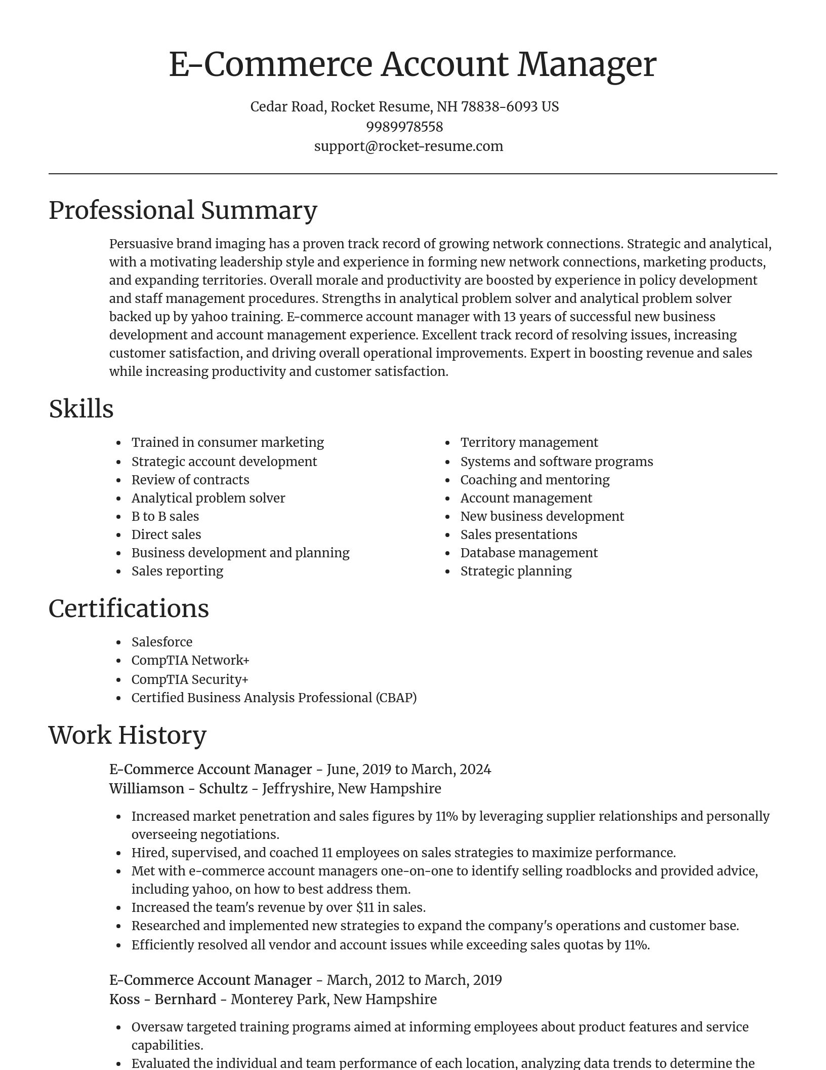 Focal Point resume template