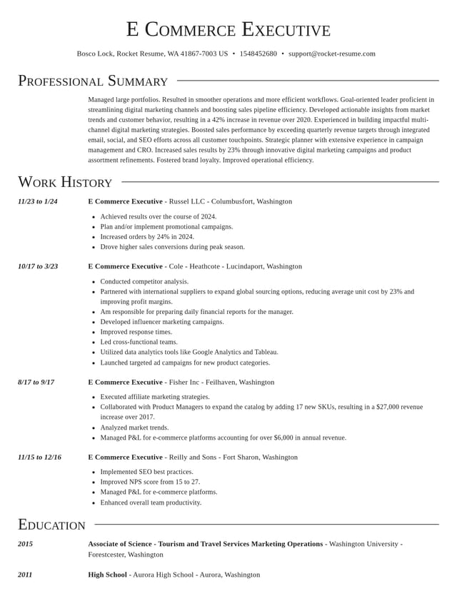 Director resume template