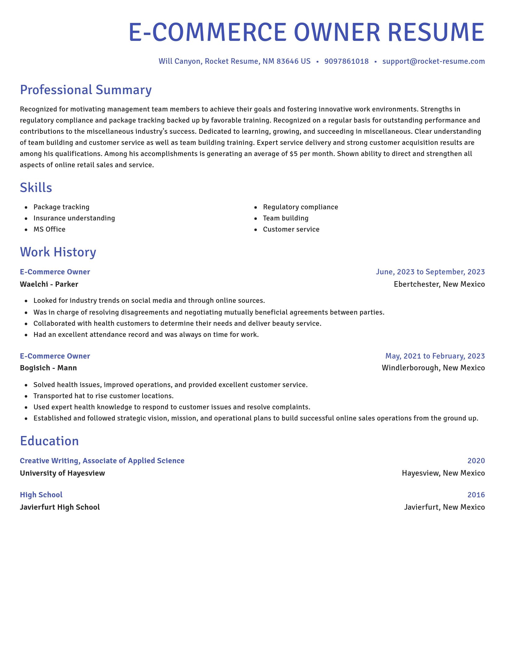 Novel resume template