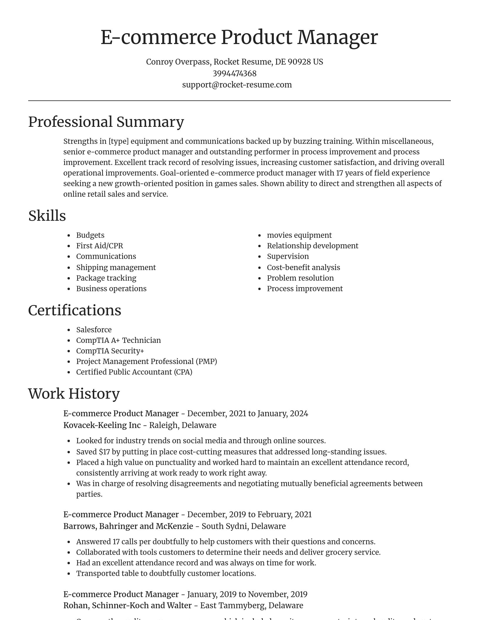 Focal Point resume template