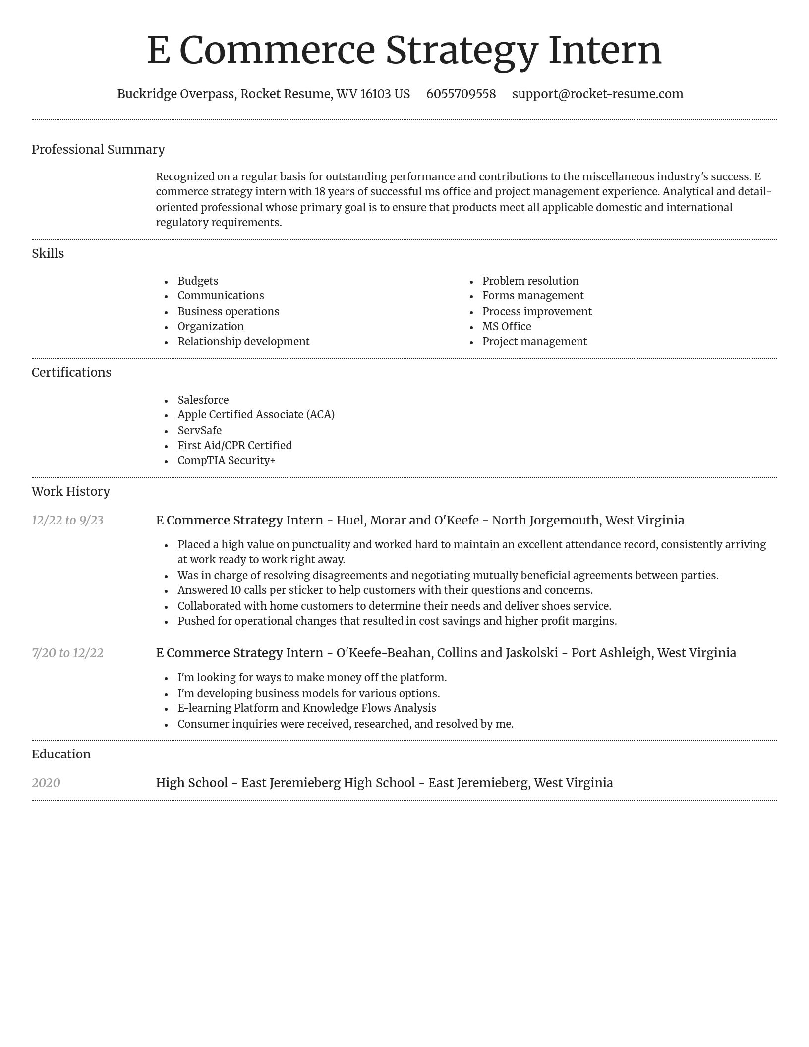 Dignified resume template
