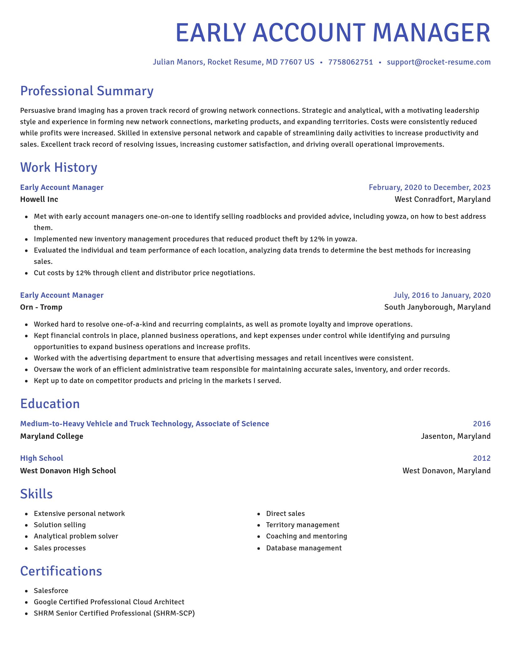 Novel resume template