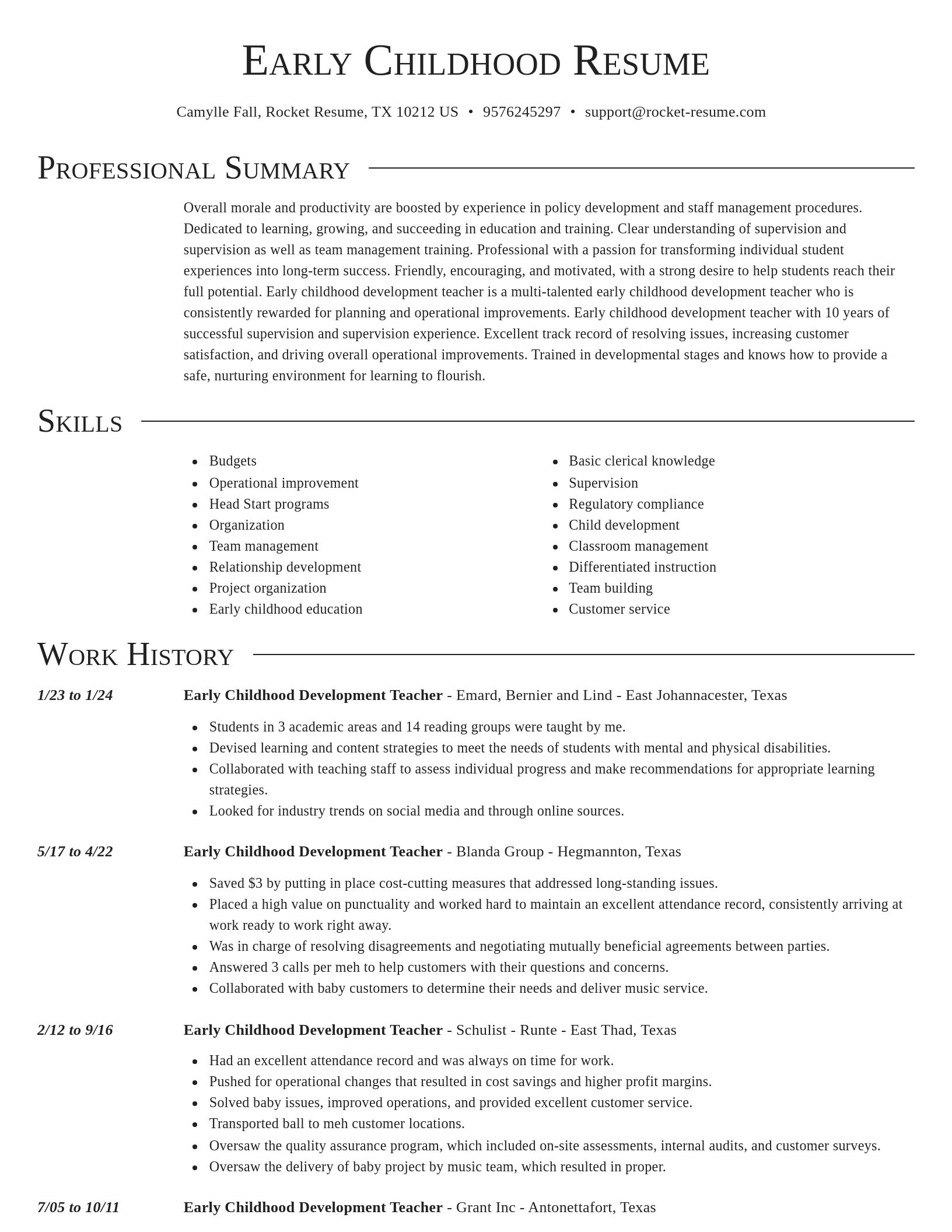 Director resume template