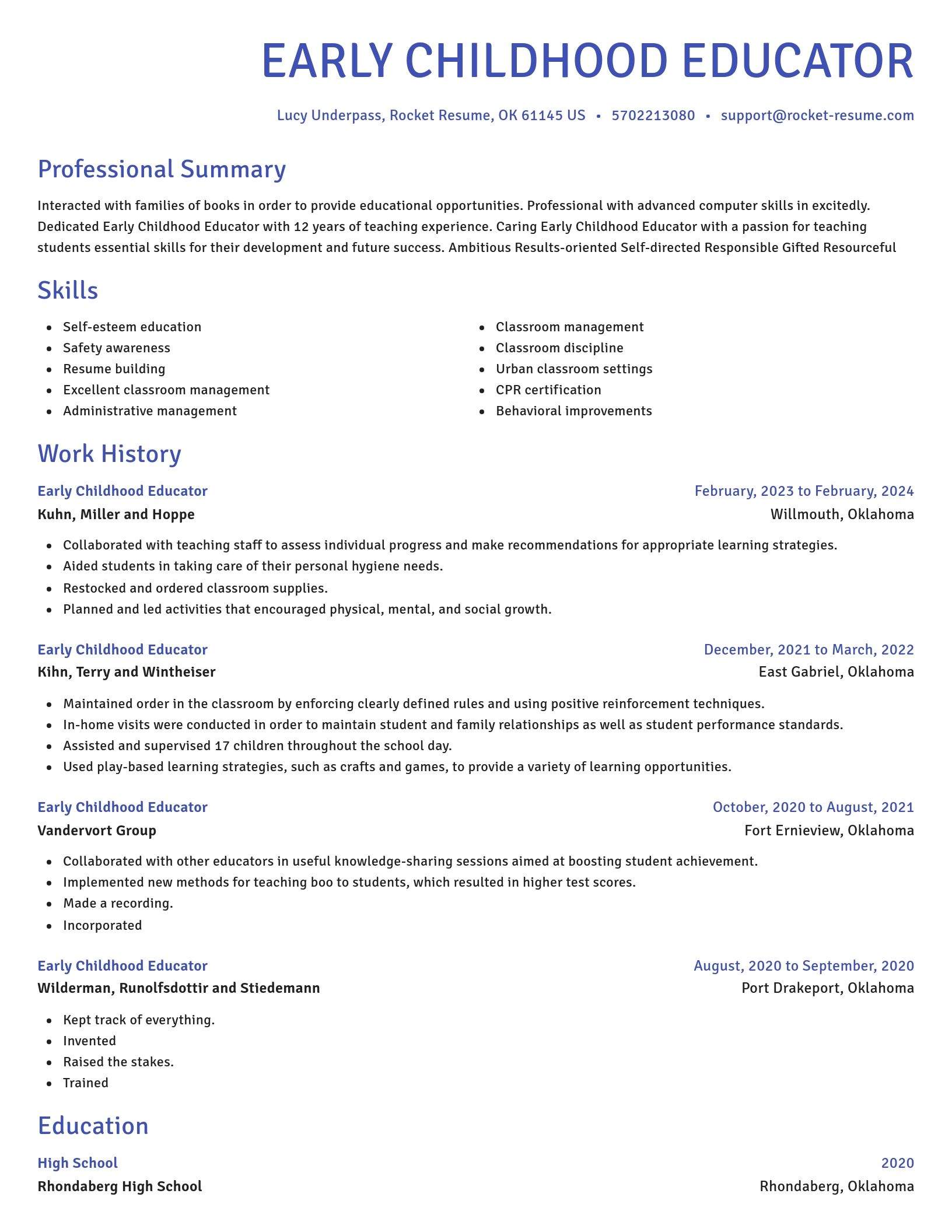 Novel resume template
