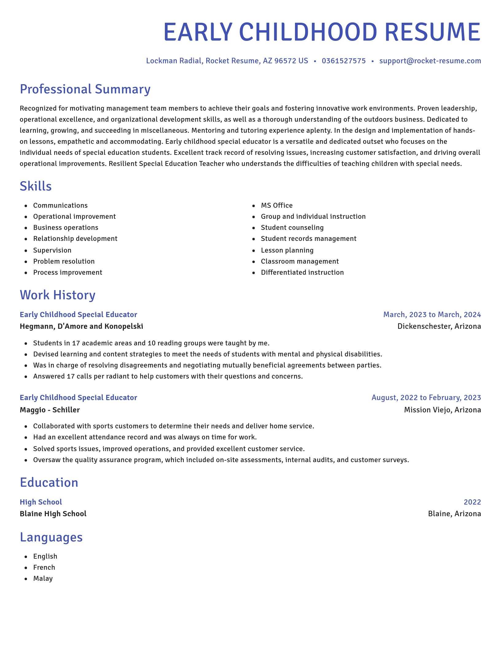 Novel resume template