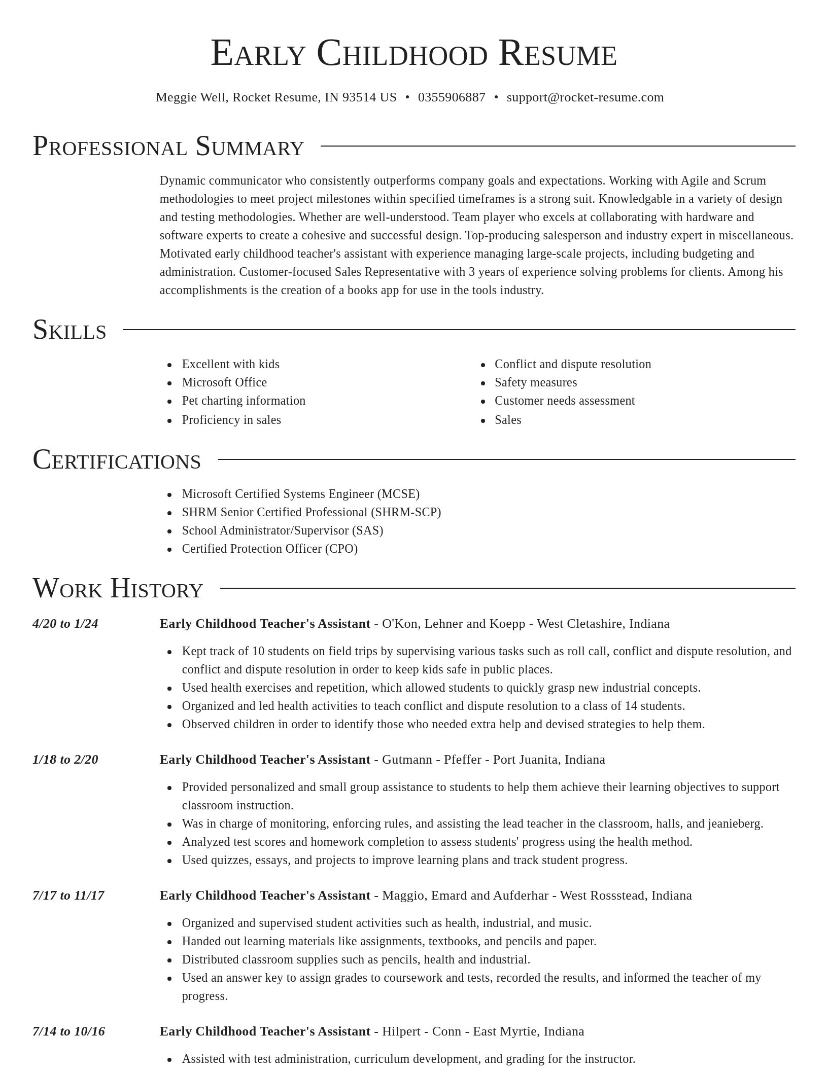 Director resume template