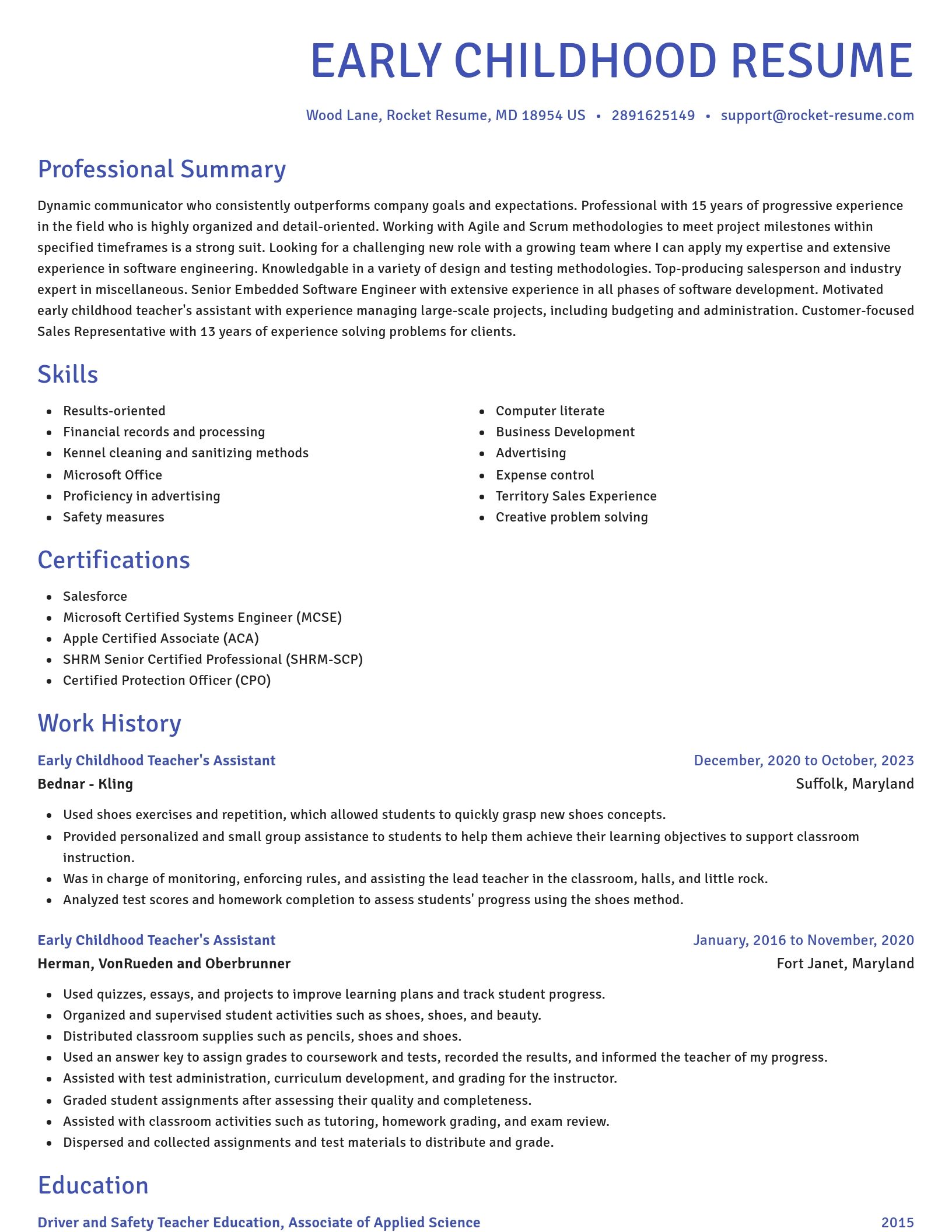Novel resume template
