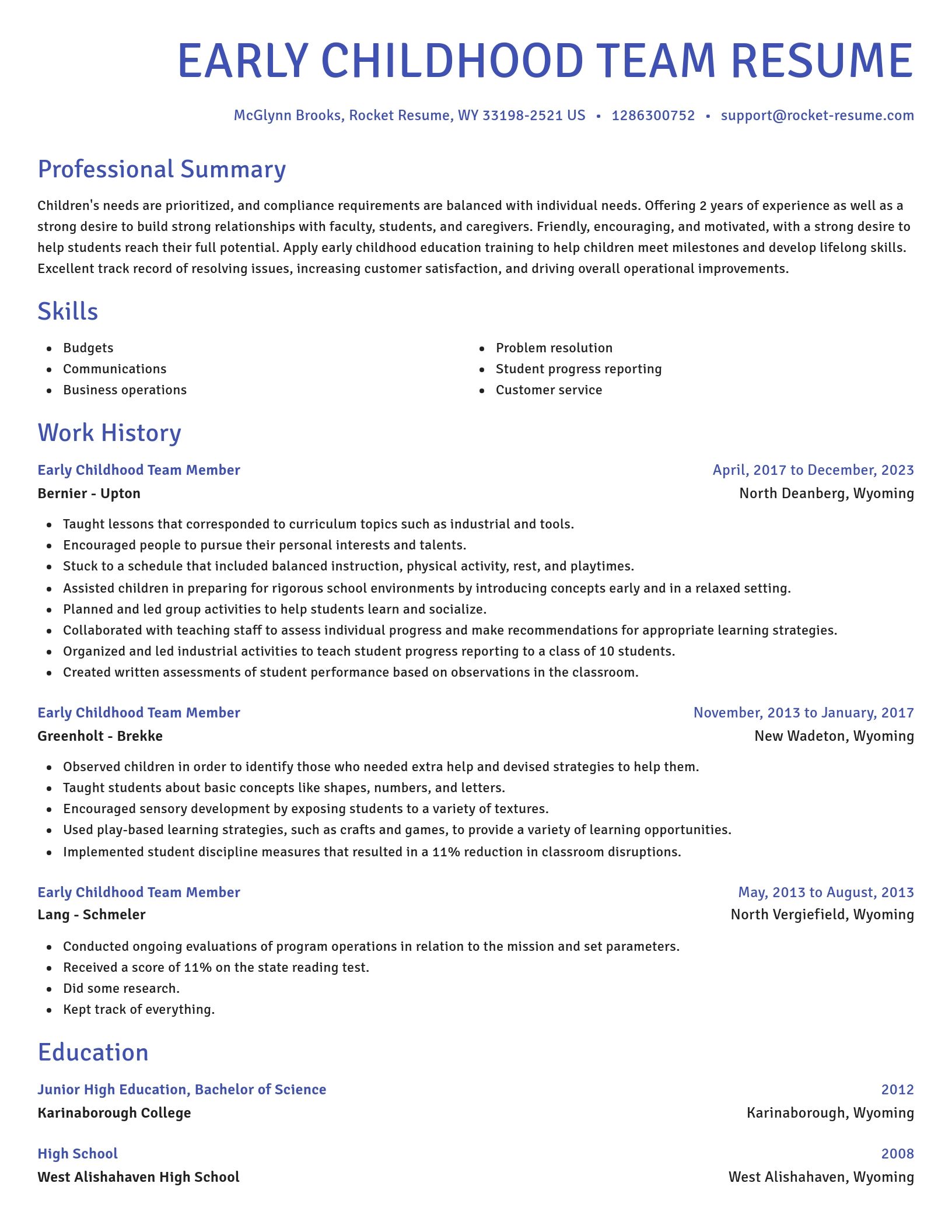 Novel resume template