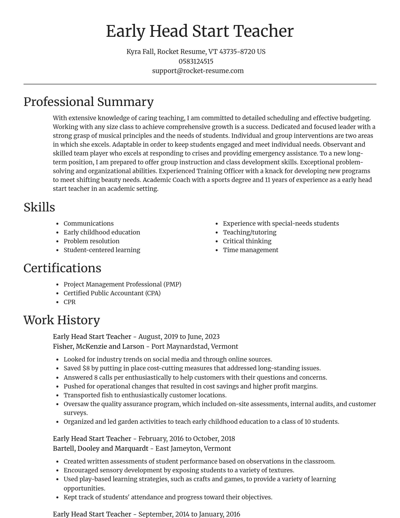 Focal Point resume template