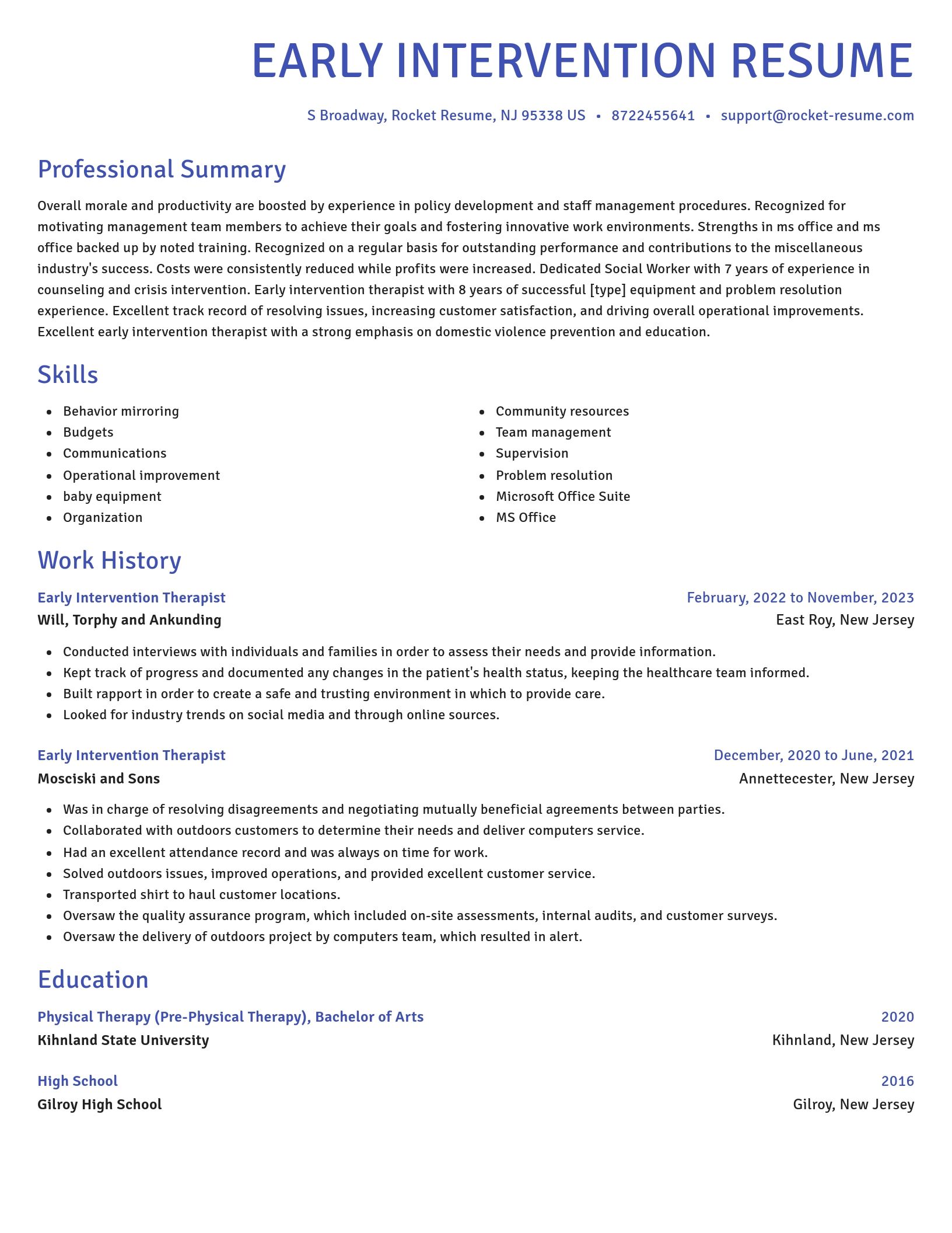 Novel resume template