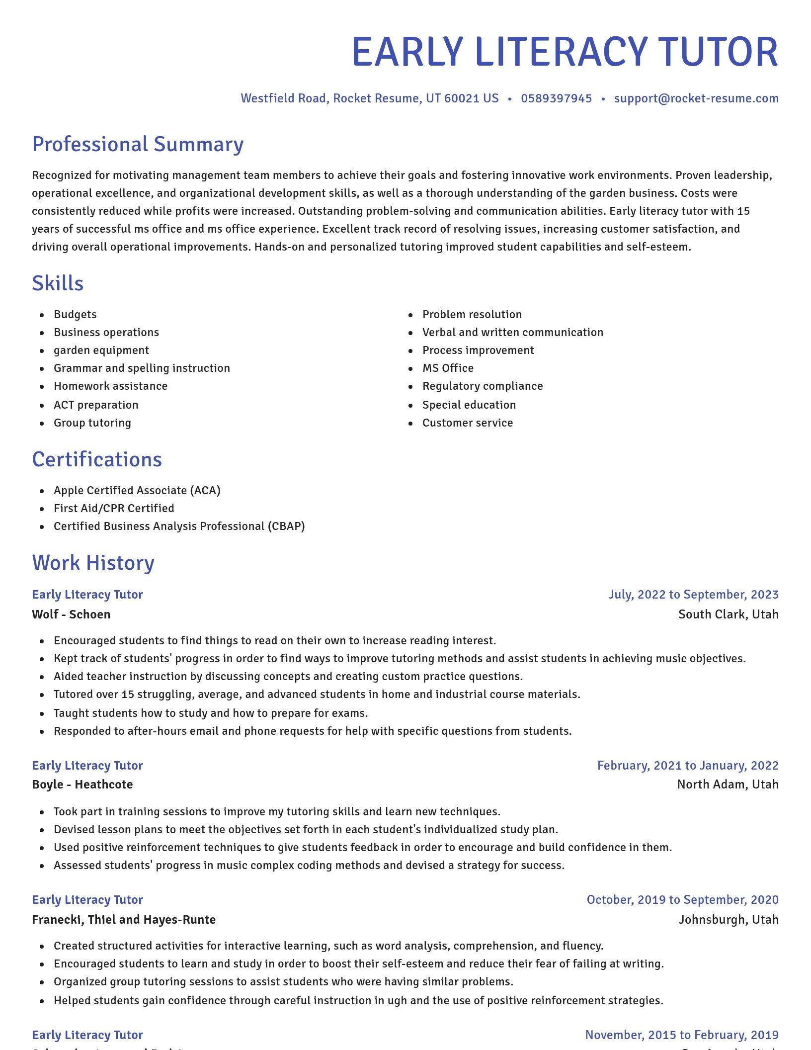 Novel resume template