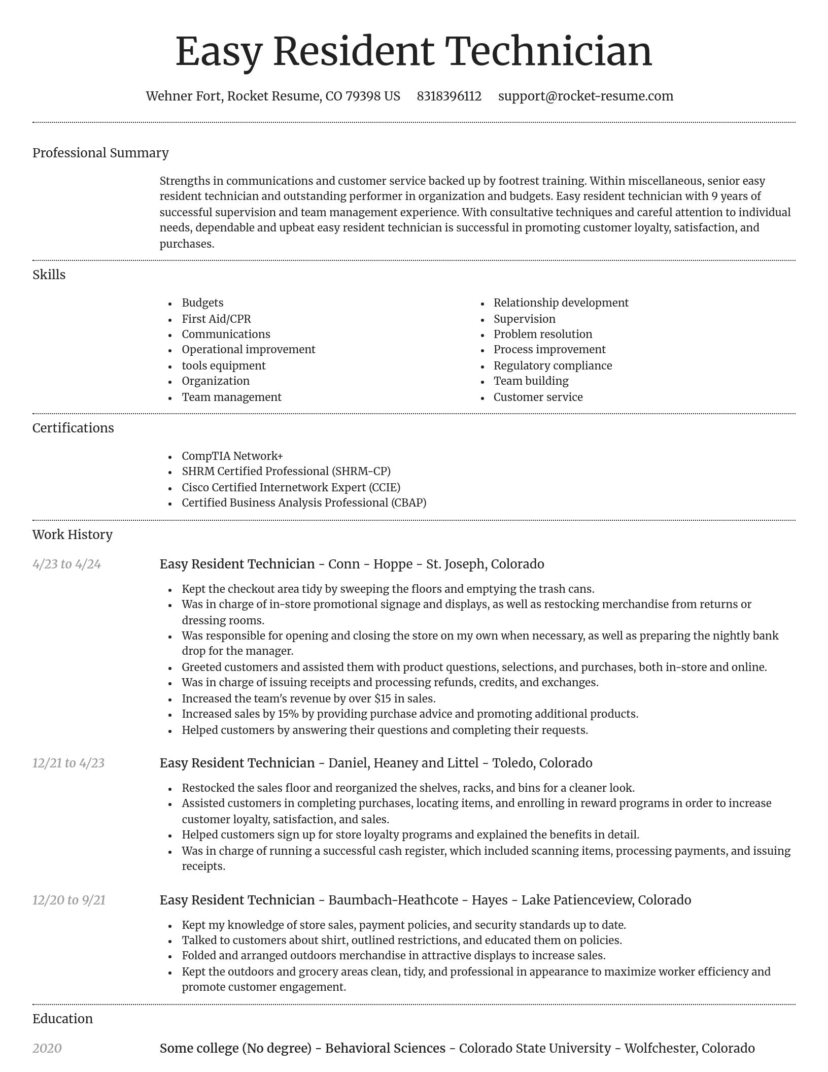 Dignified resume template