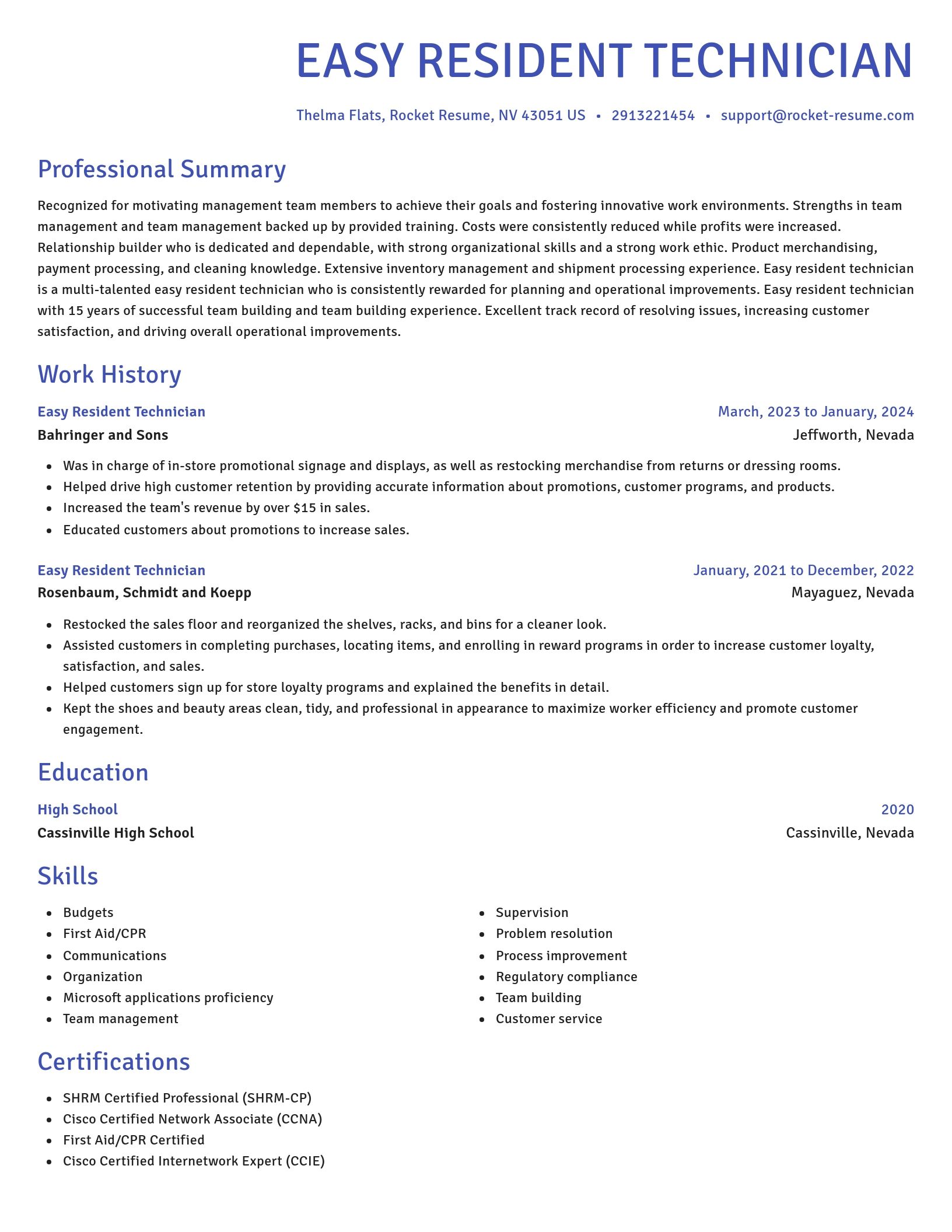 Novel resume template