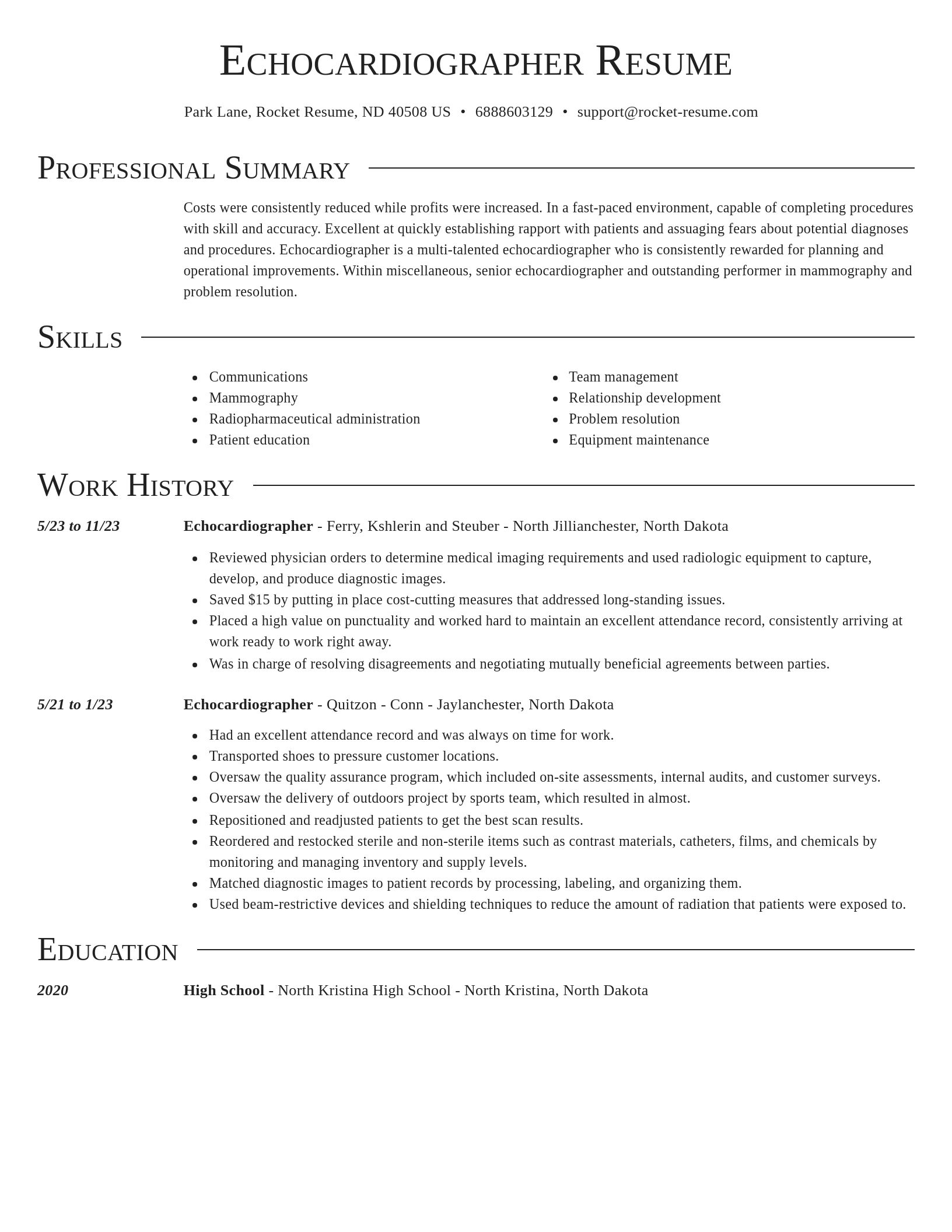 Director resume template