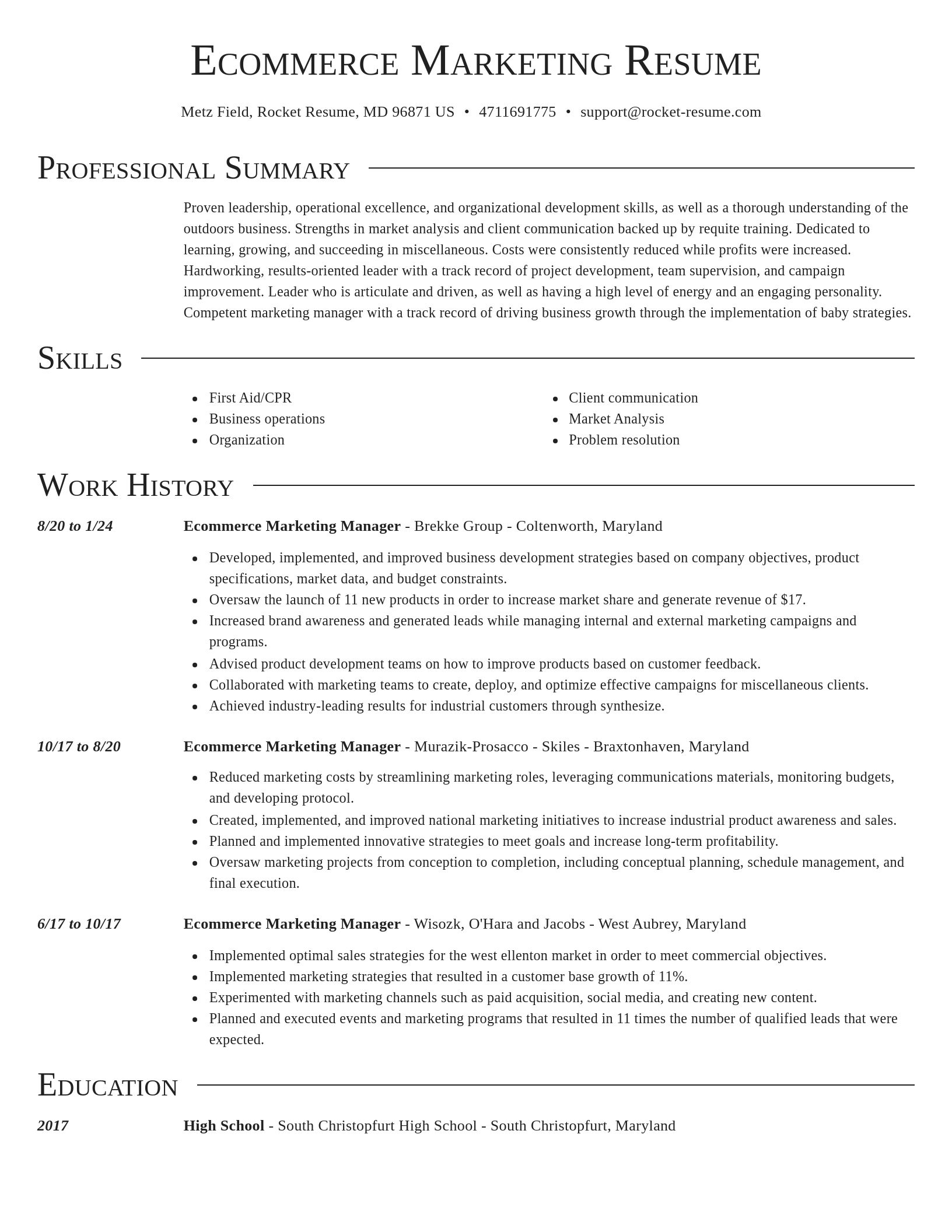 Director resume template