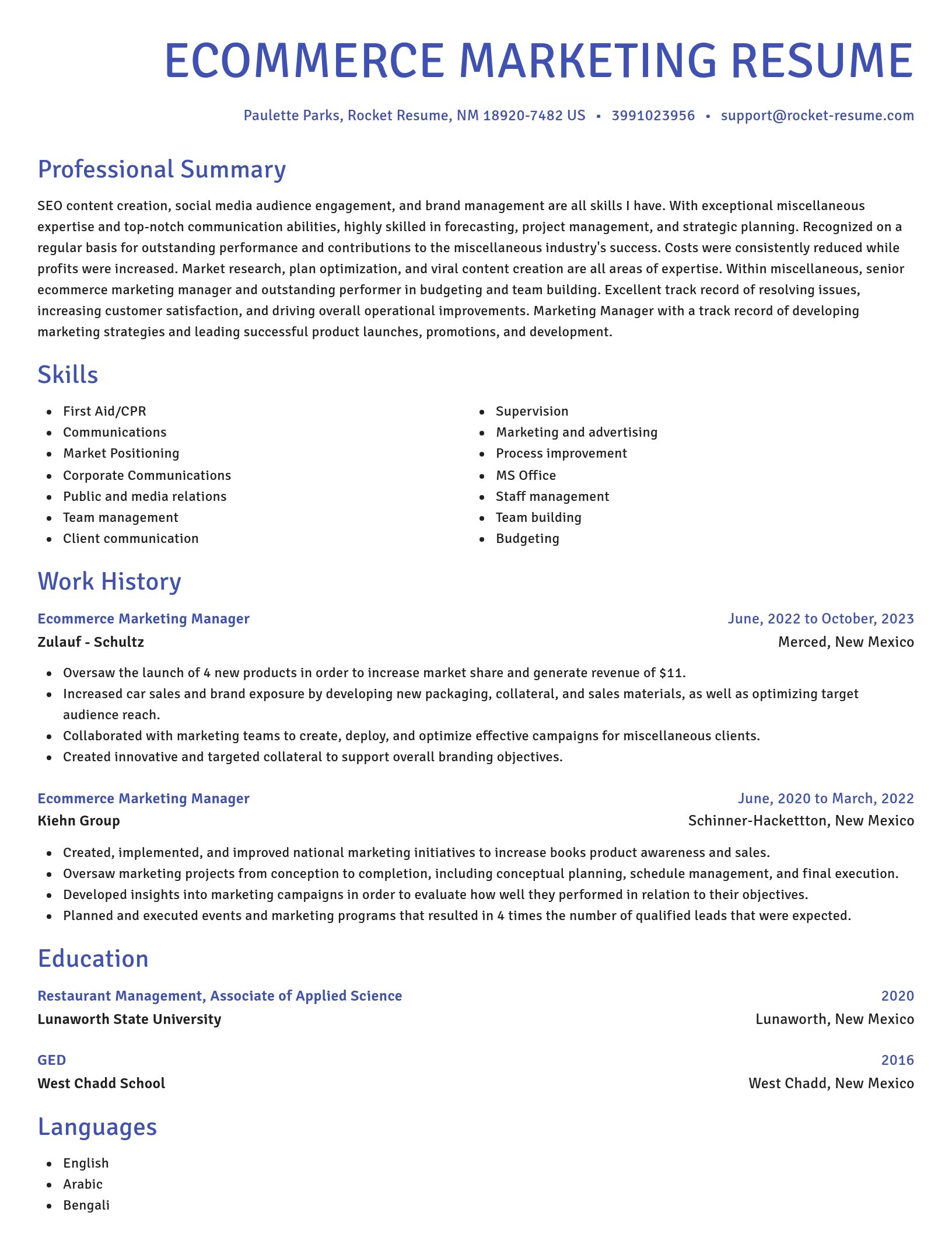Novel resume template