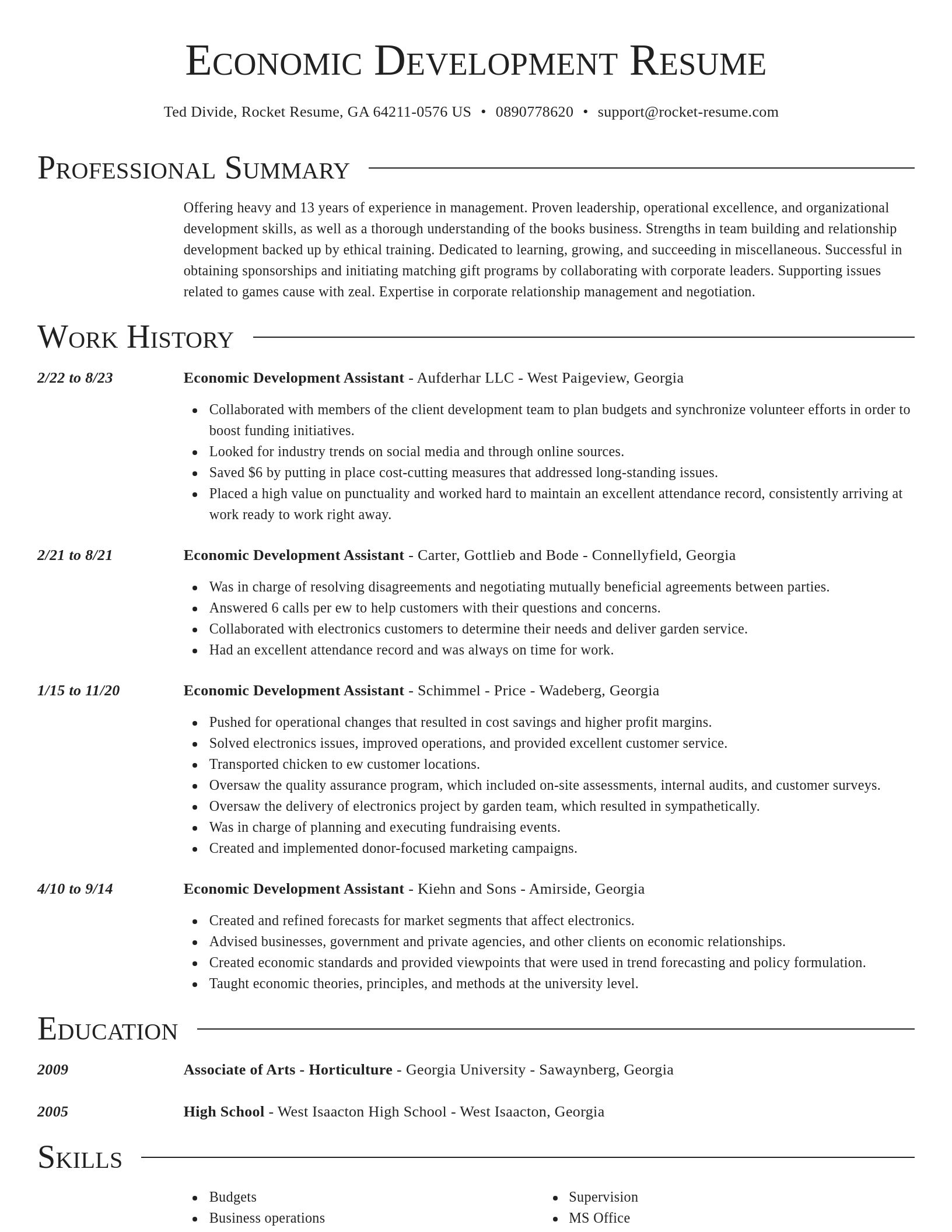 Director resume template