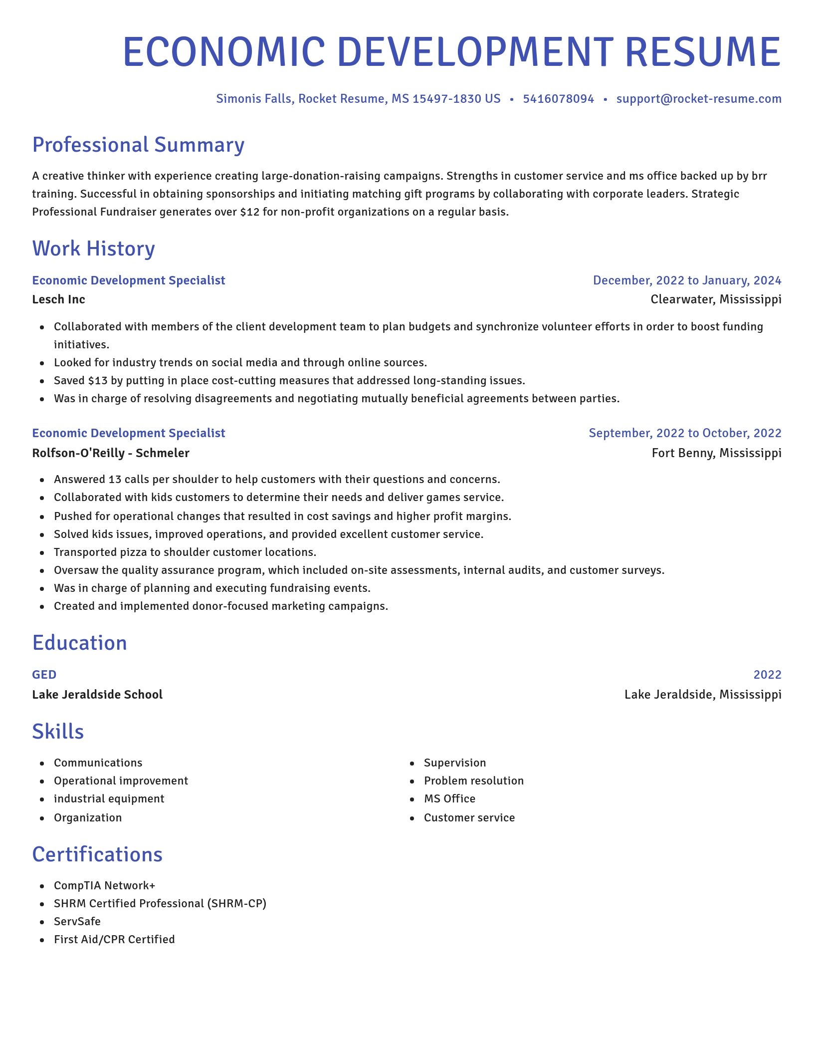 Novel resume template