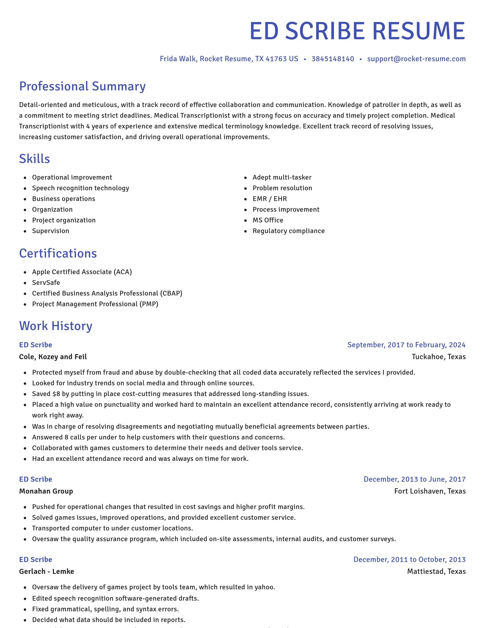 Novel resume template