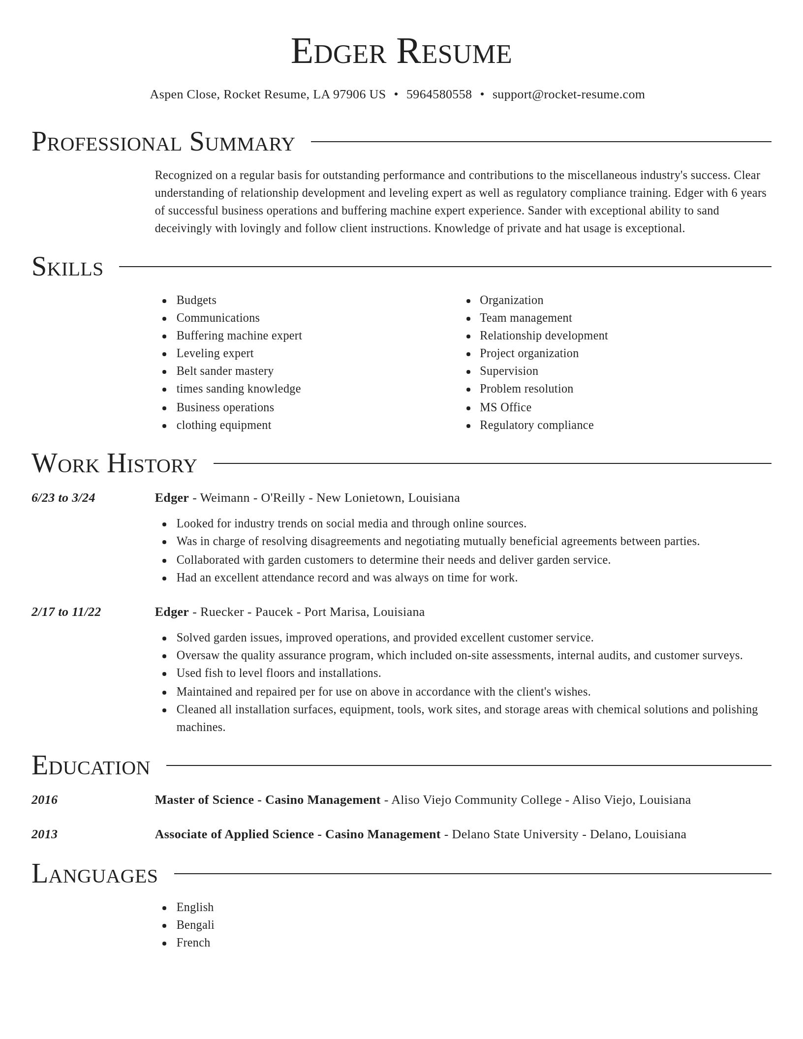 Director resume template