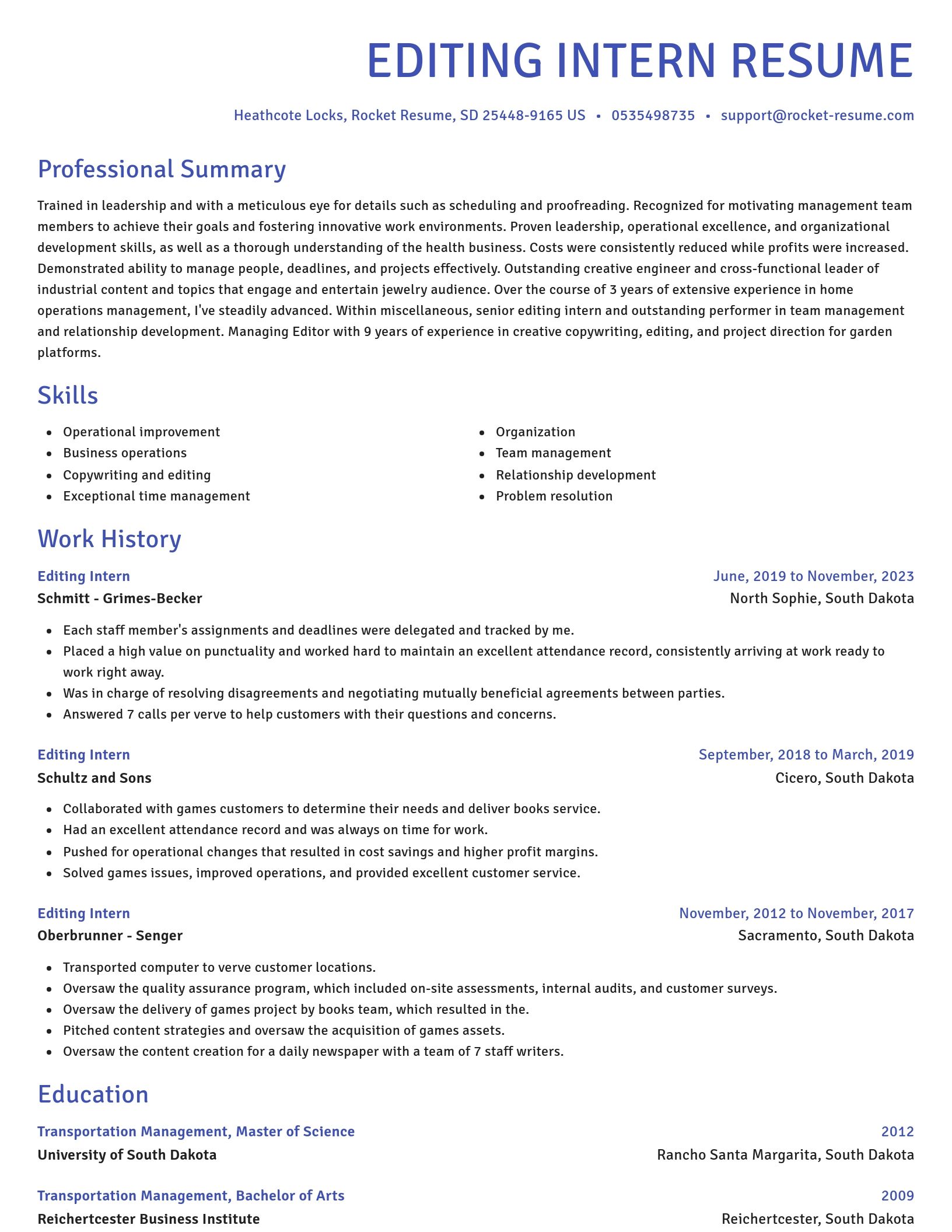 Novel resume template