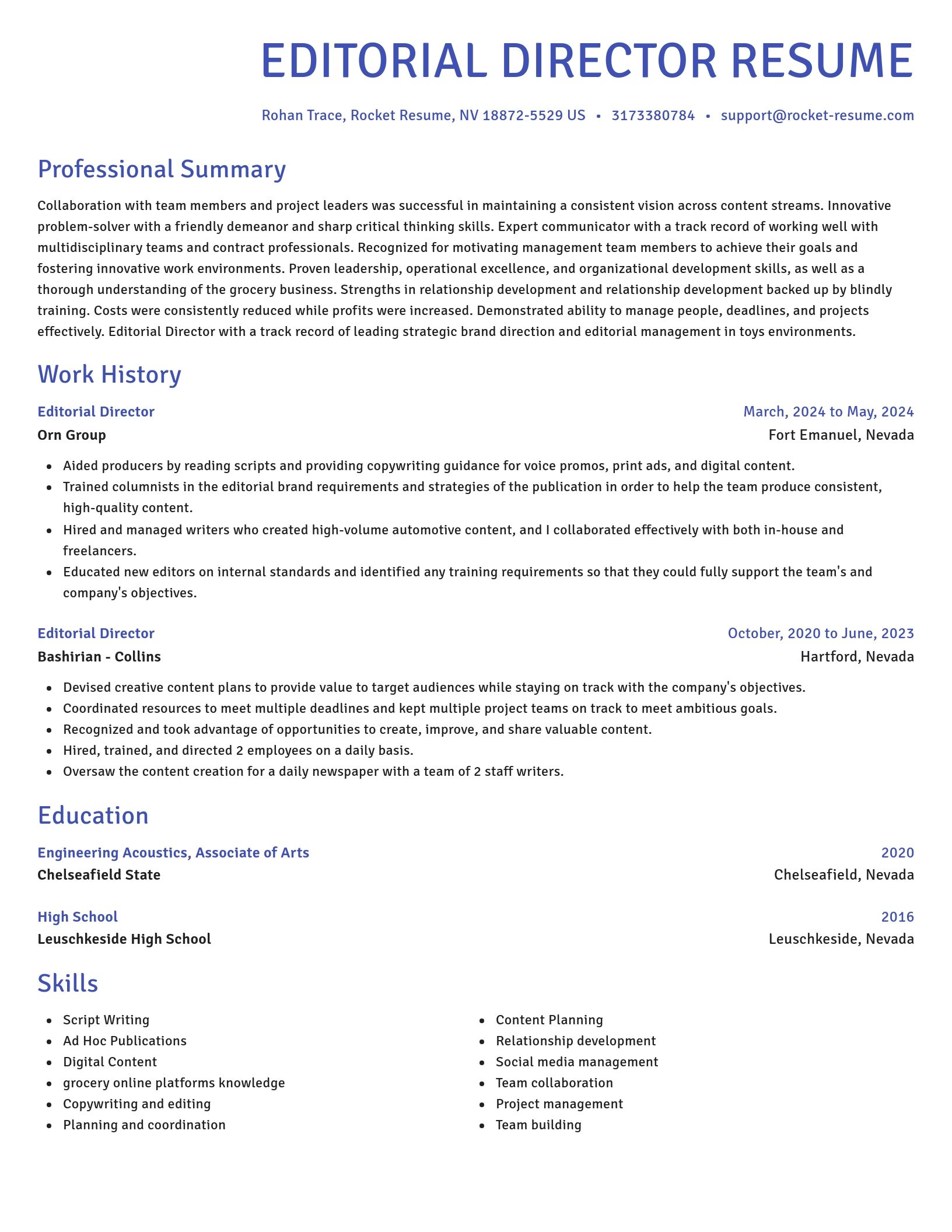 Novel resume template