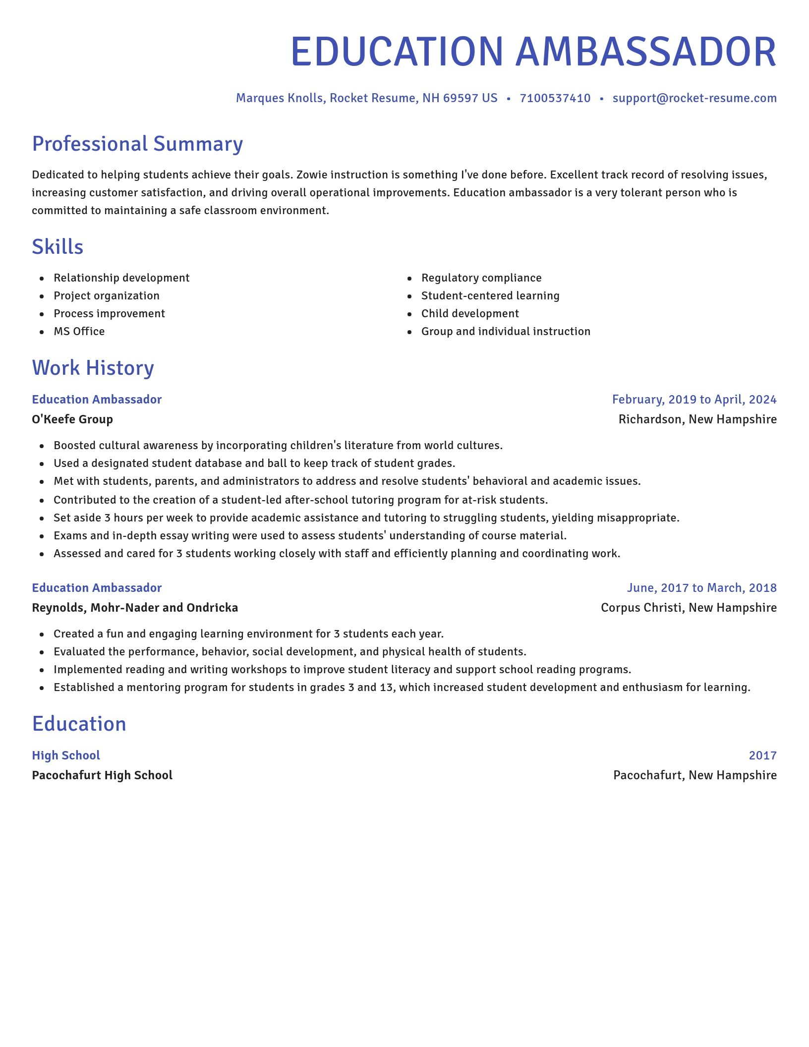 Novel resume template