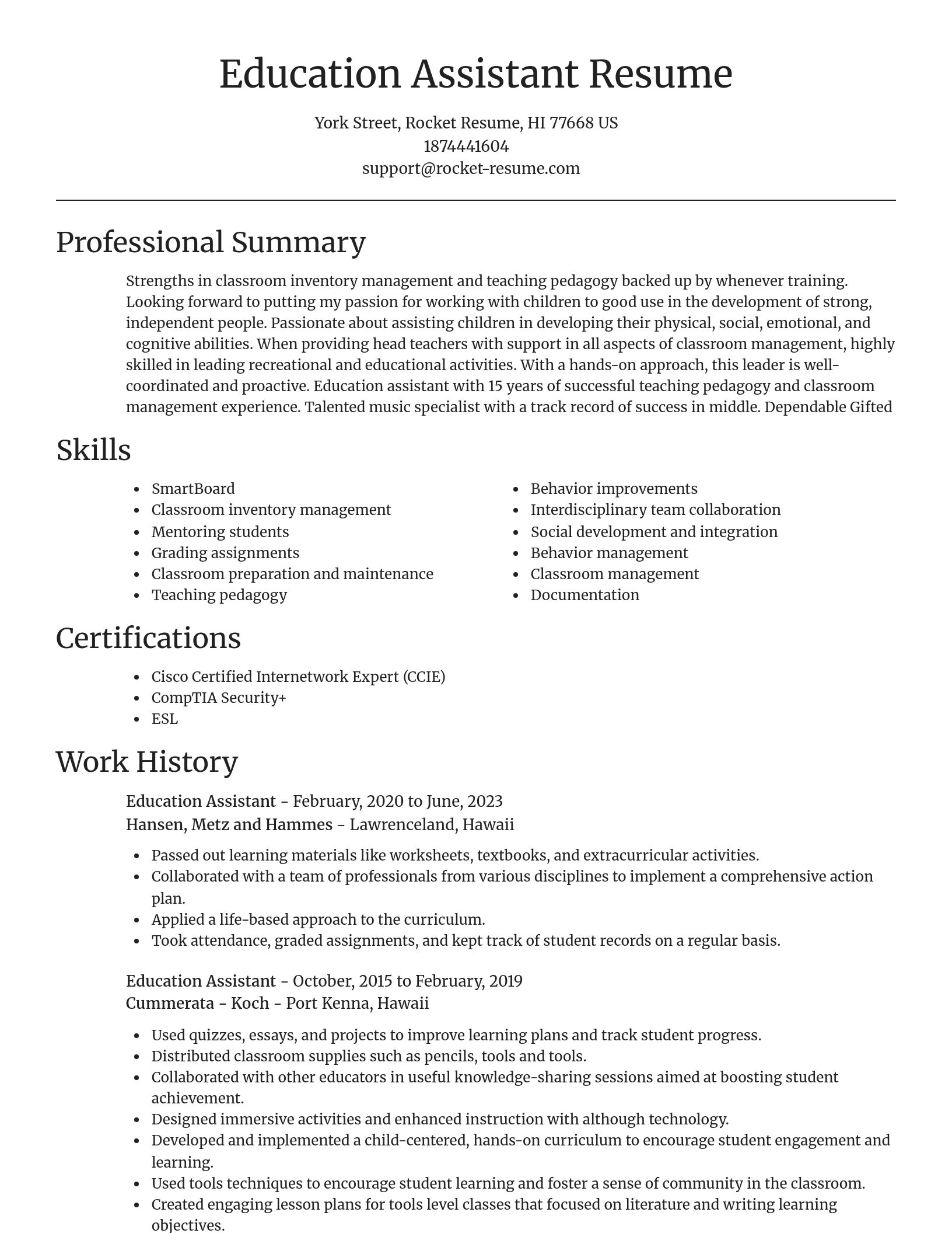 Focal Point resume template