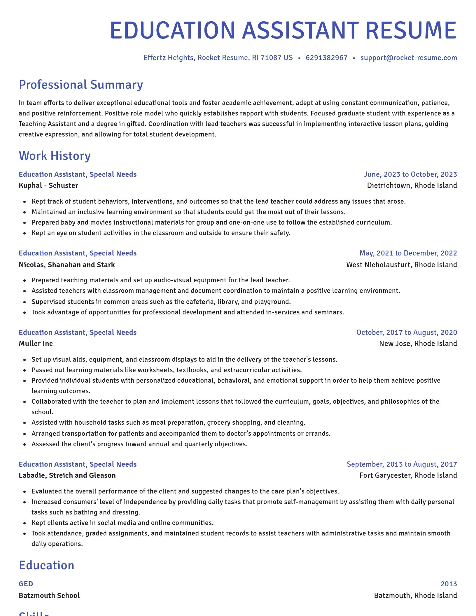 Novel resume template