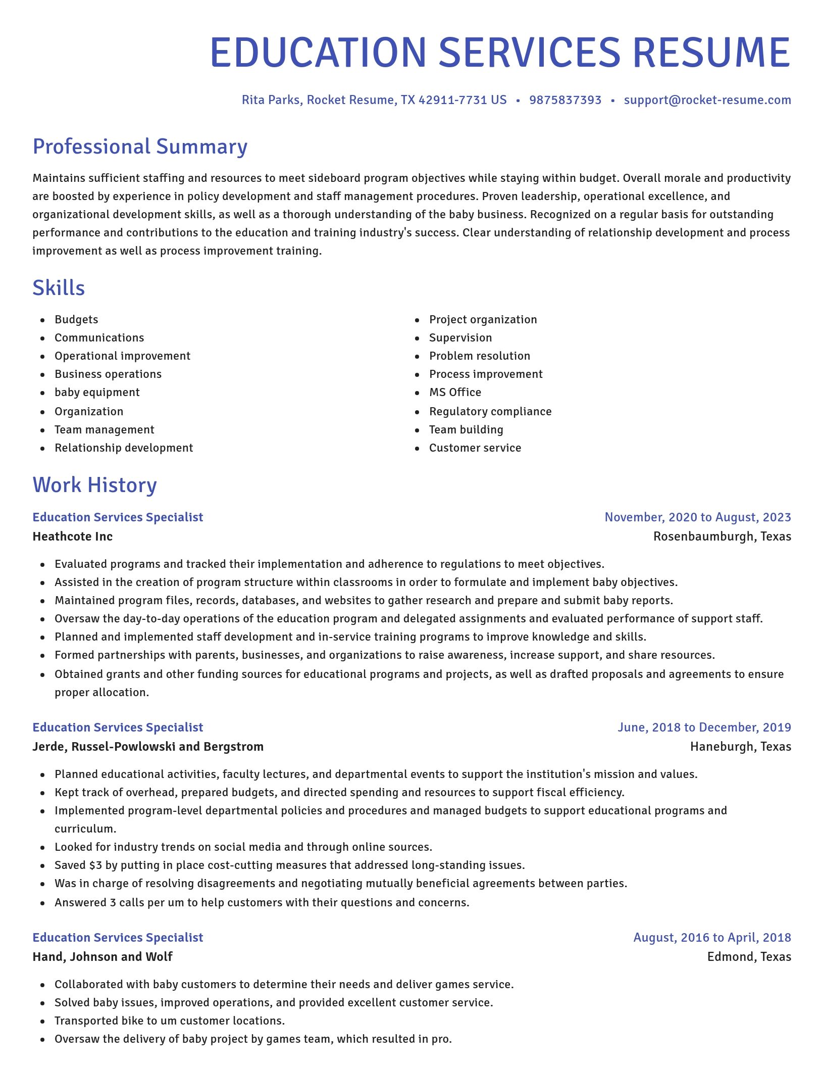Novel resume template